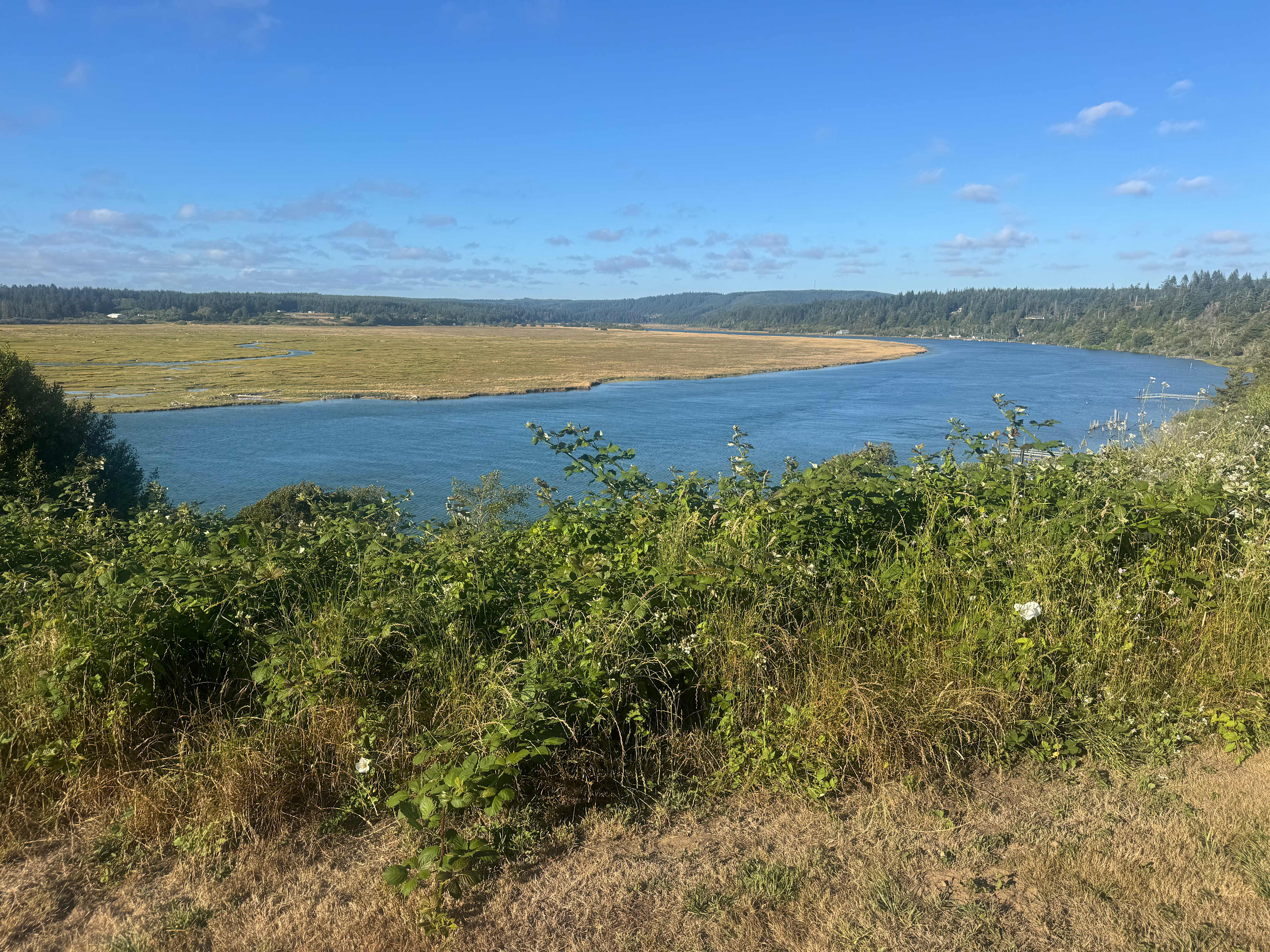 Prosper Bluff