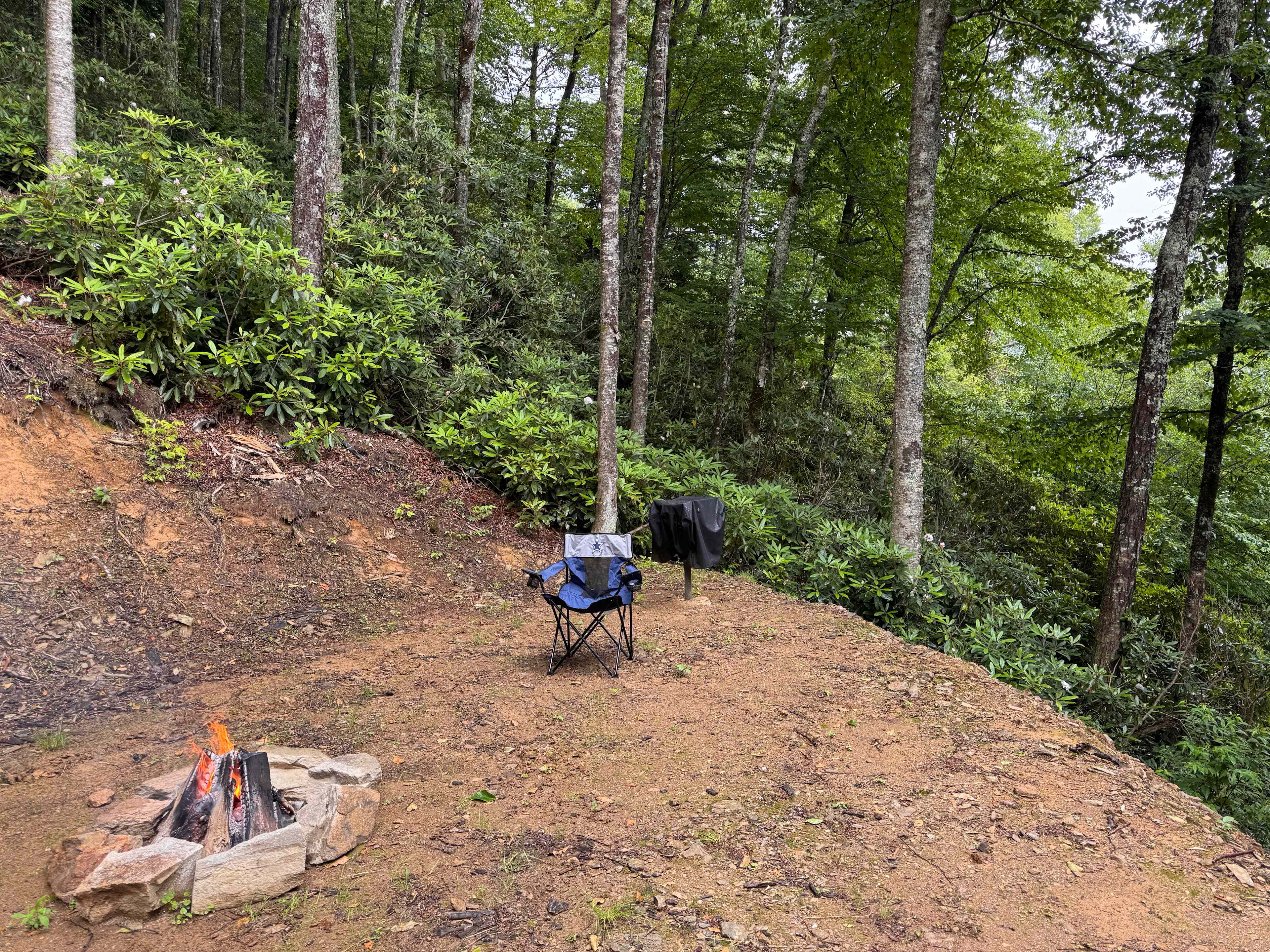 Picture of the site