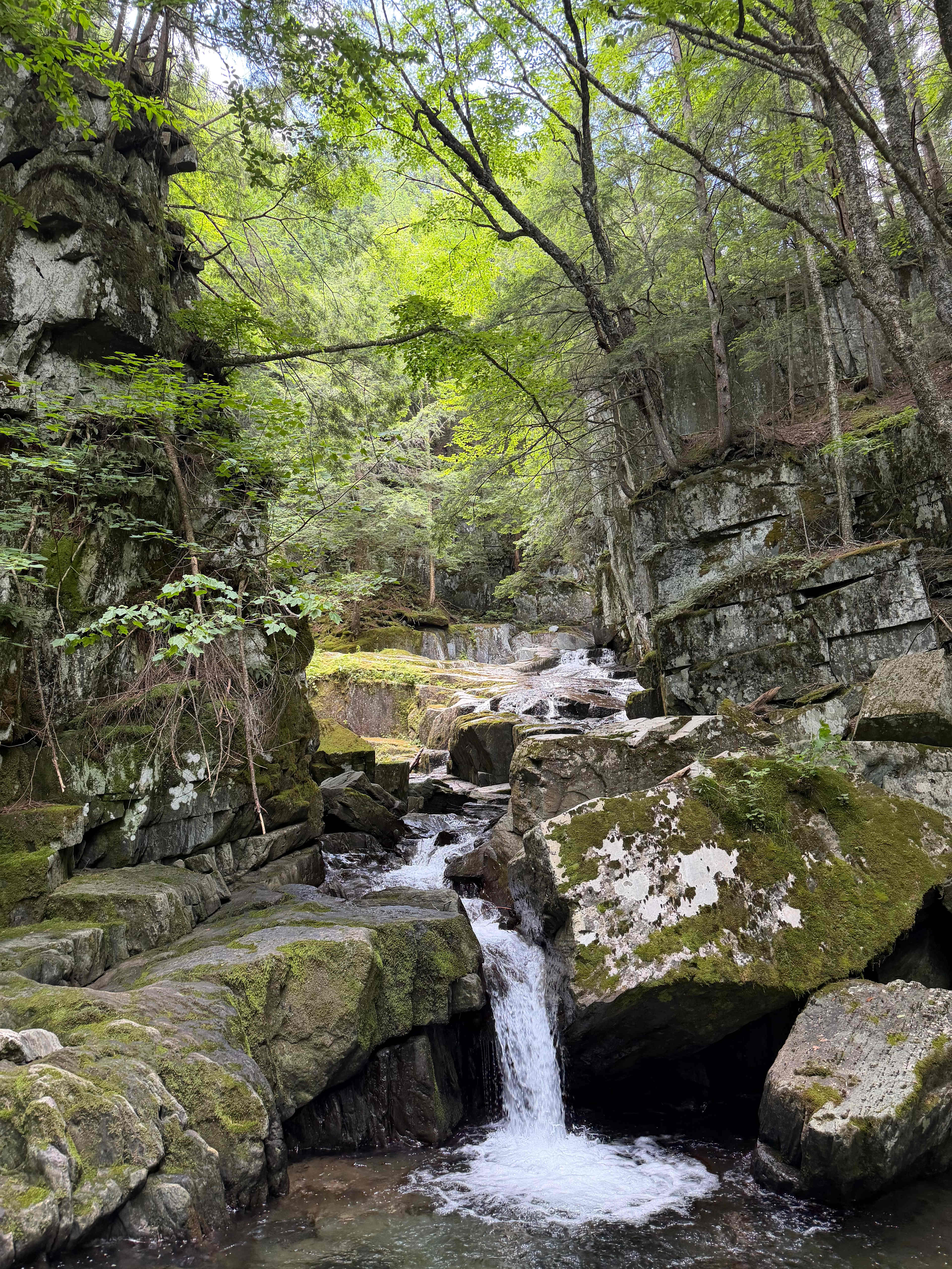The Hollow at Dynamite Falls