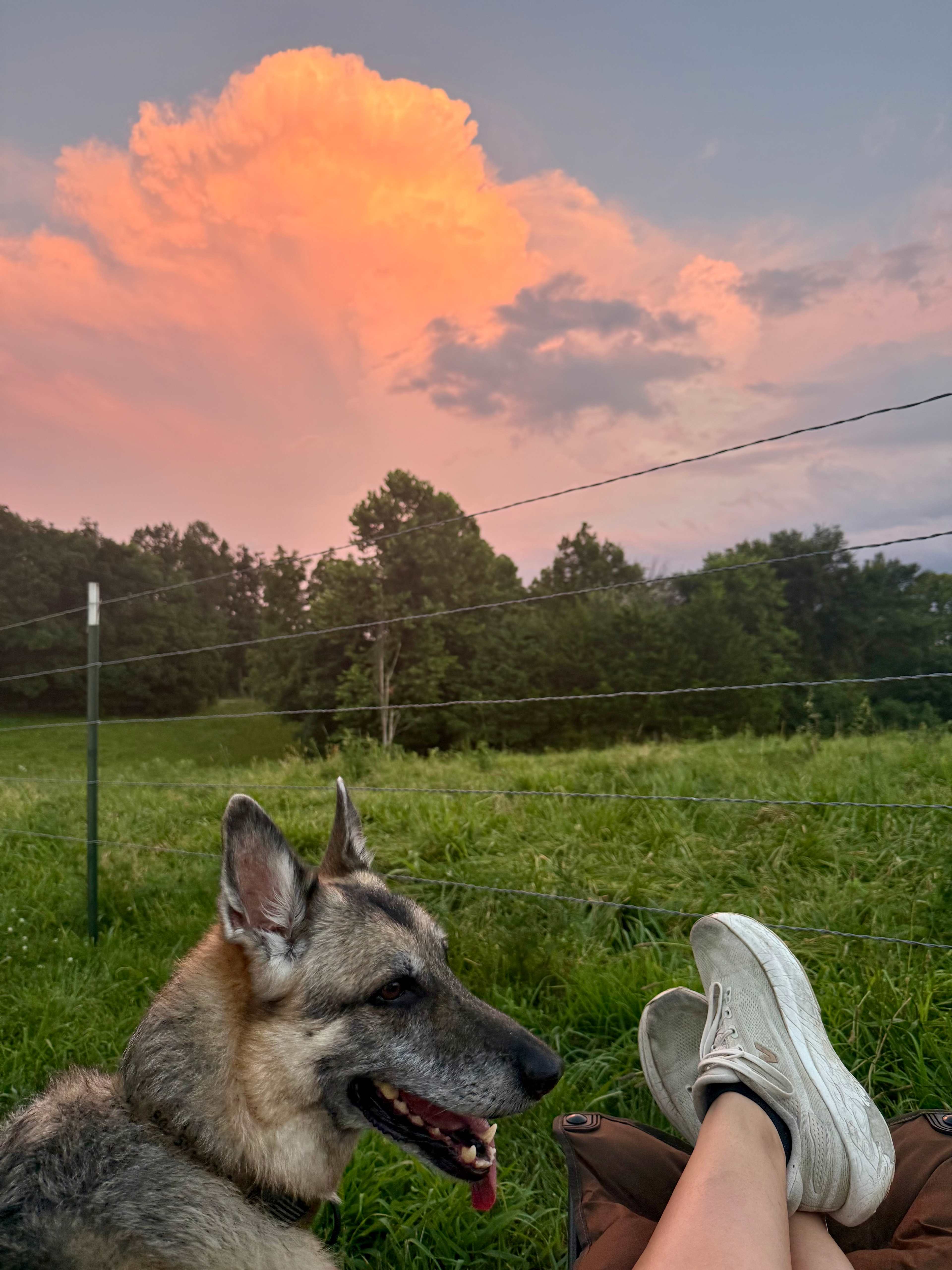 Selby Farm Camping