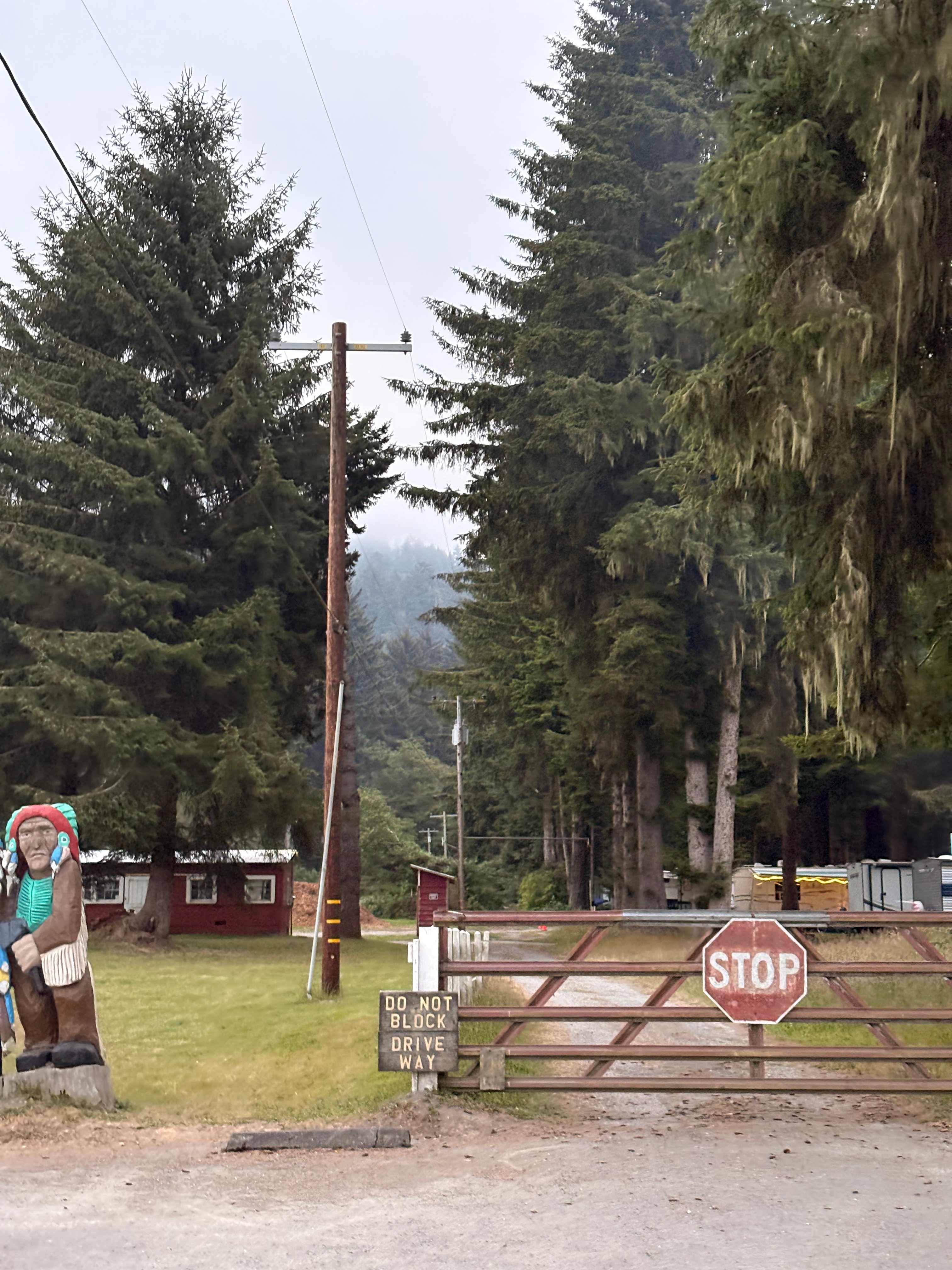 Picture of the site