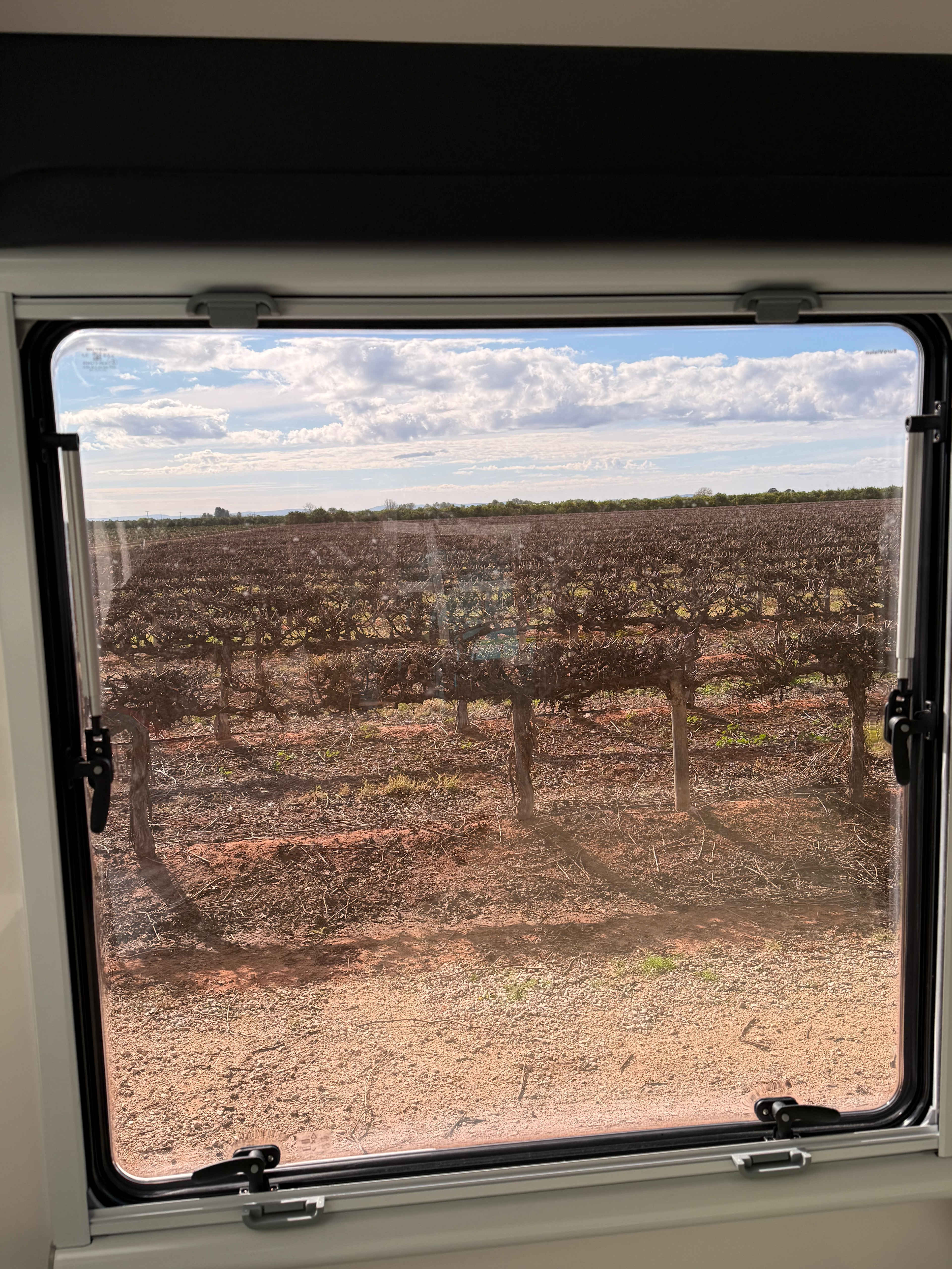 Catania Fruit Salad Farm
