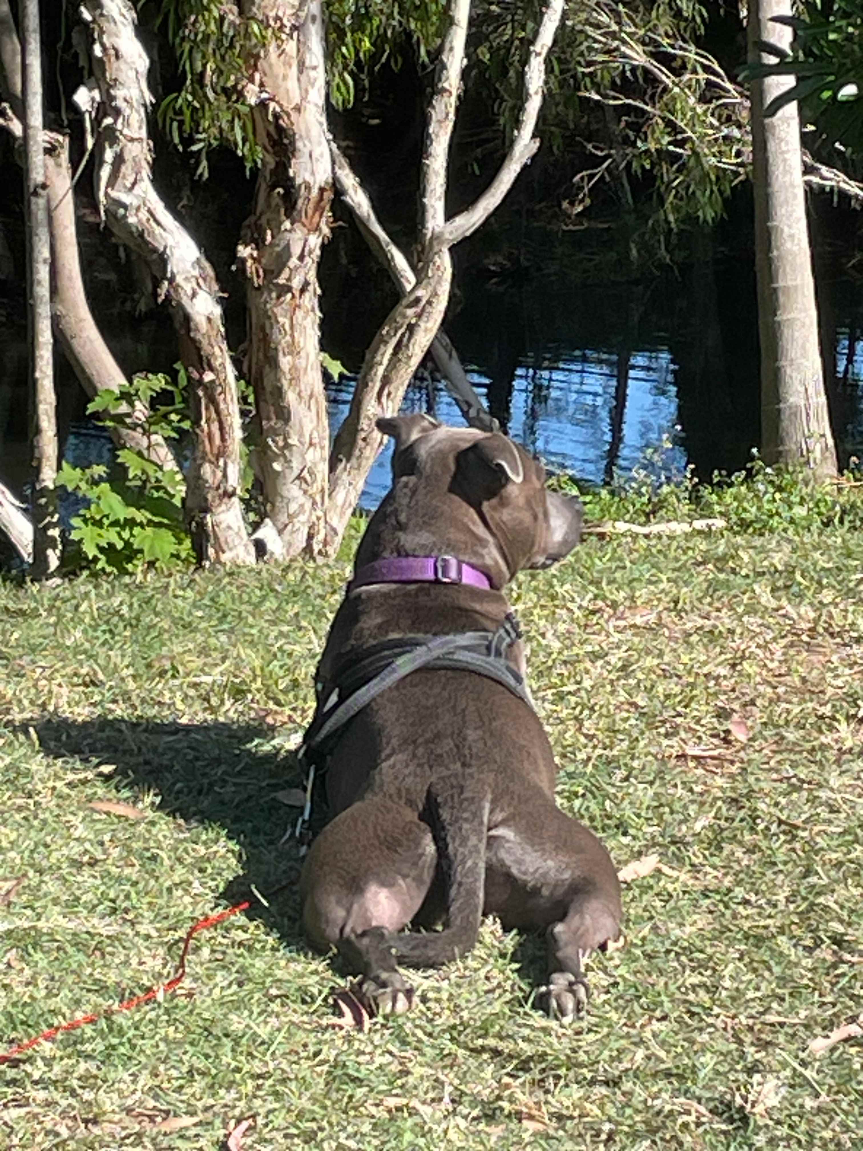 Watching the kids in the water