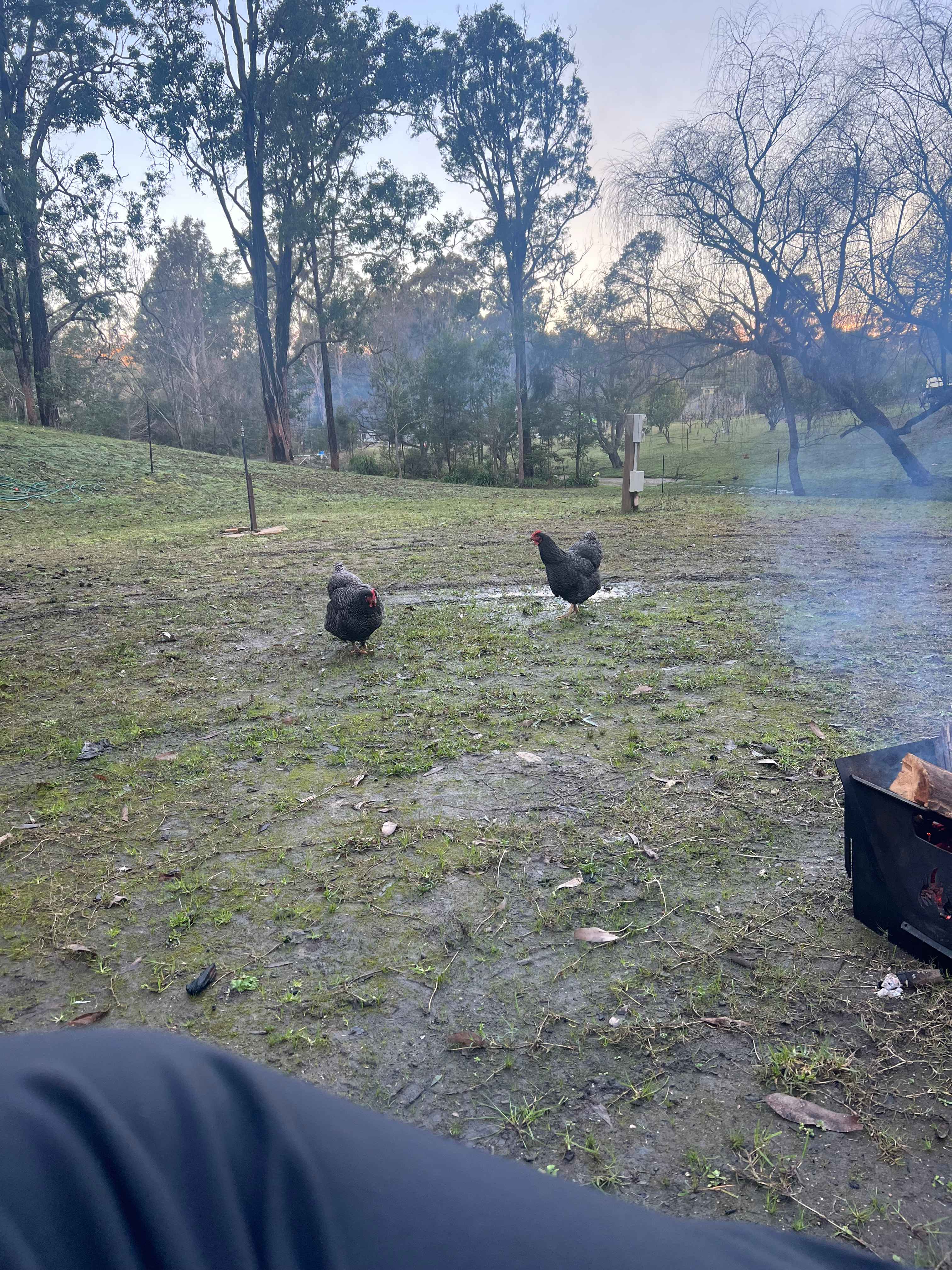 Mogo Bush Retreat