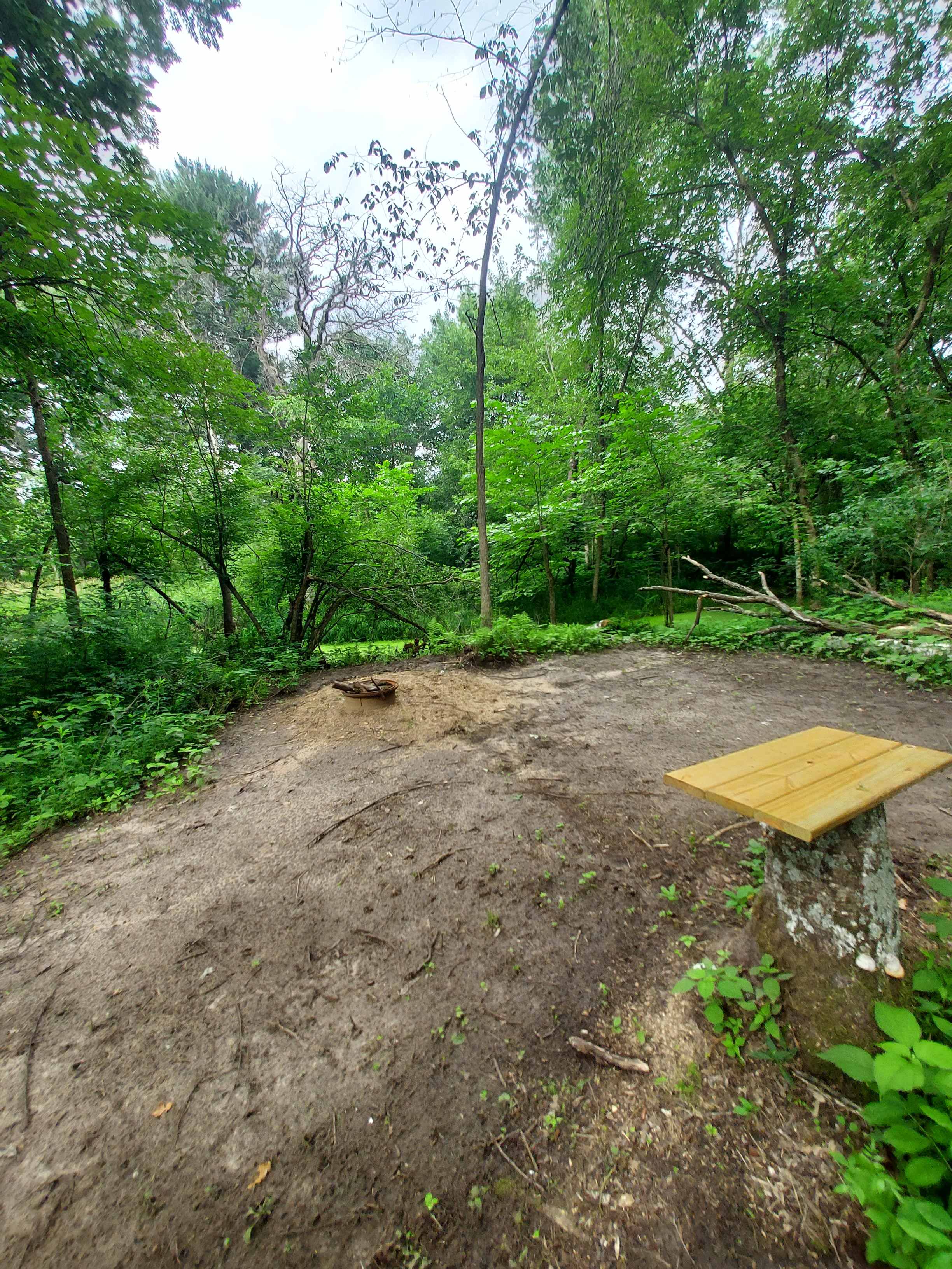 Picture of the site