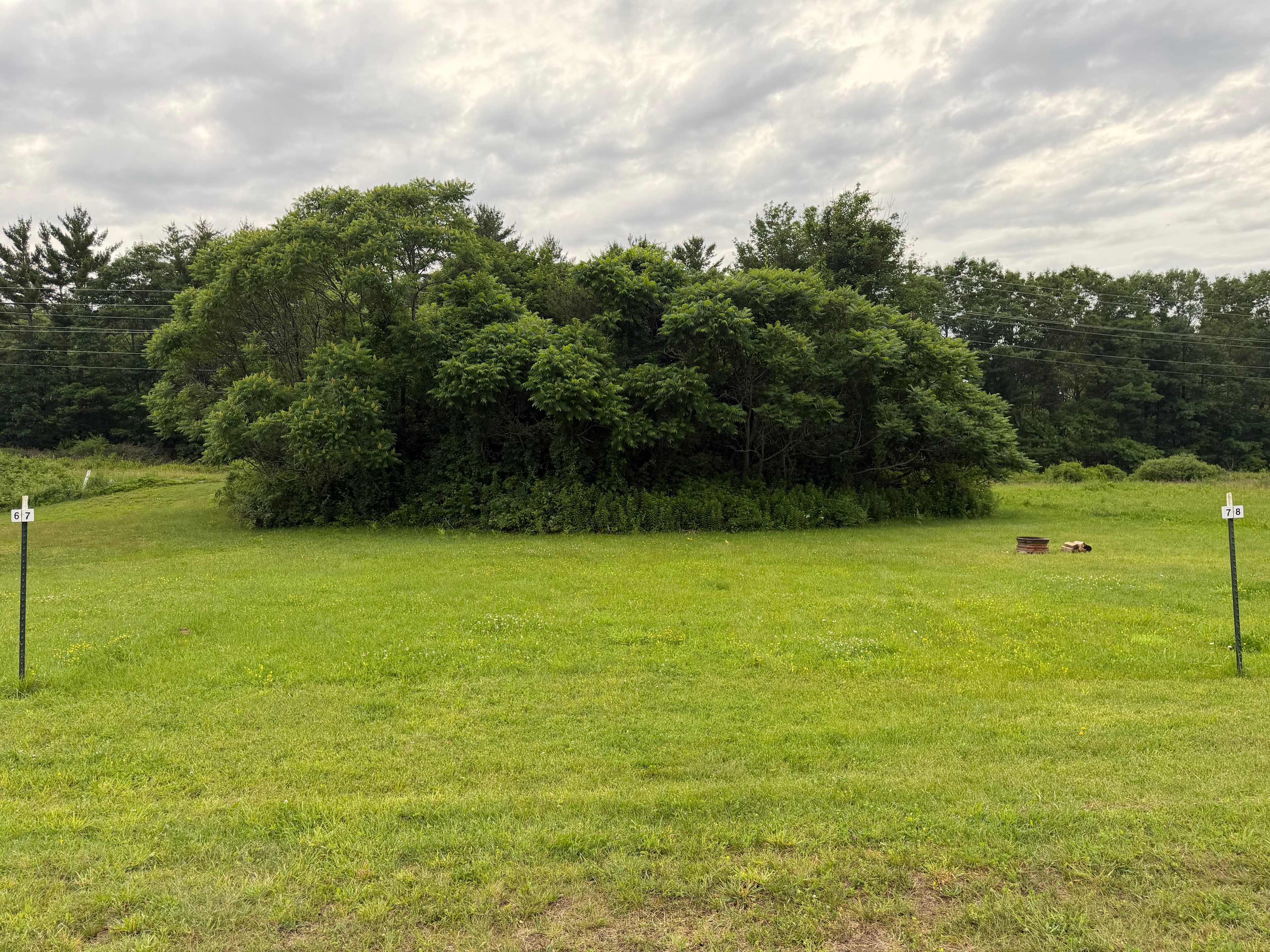 Picture of the site