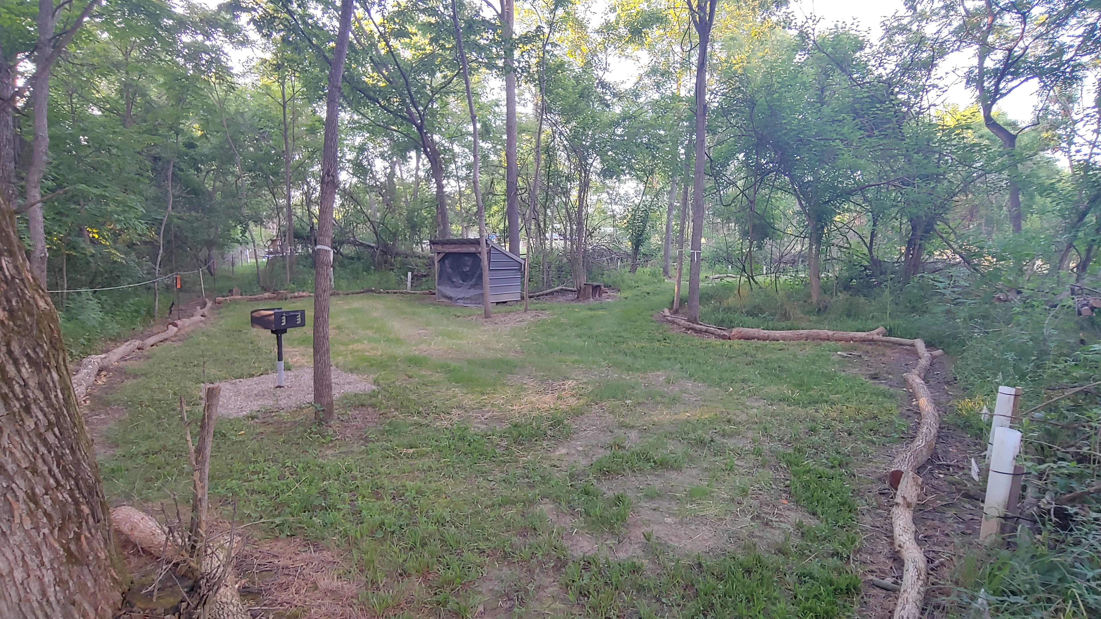 Picture of the site