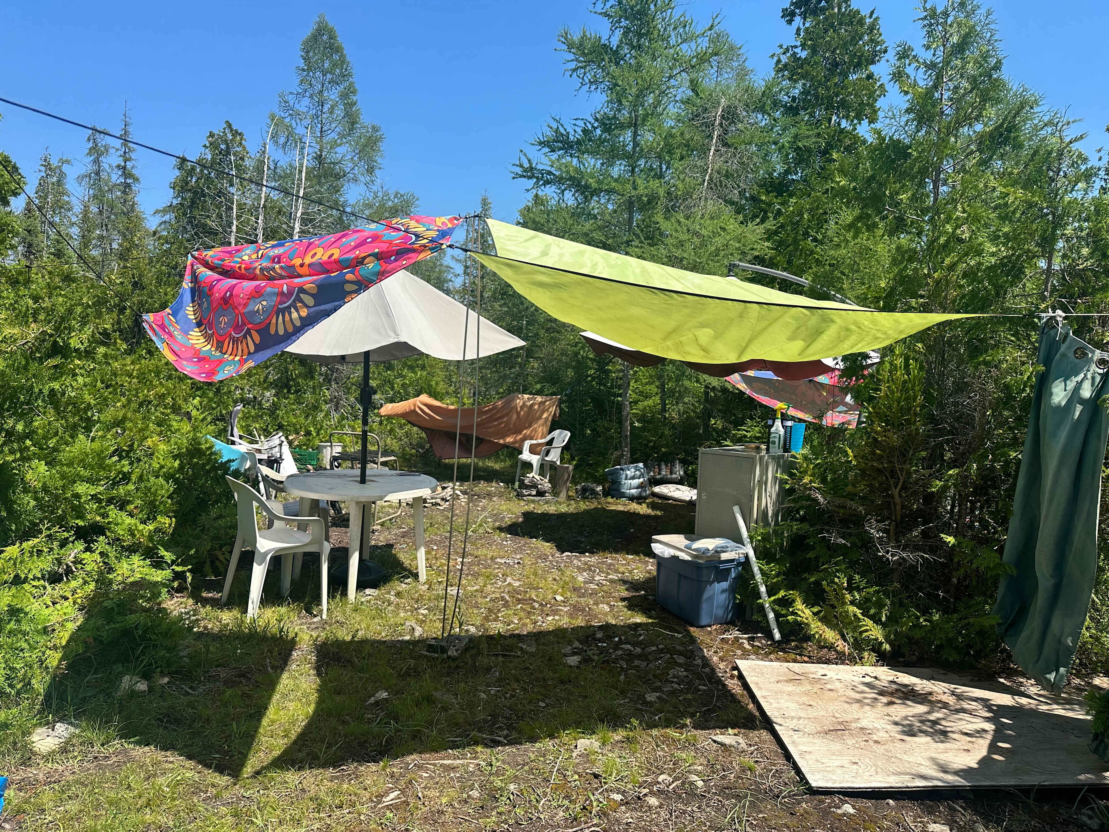 Picture of the site