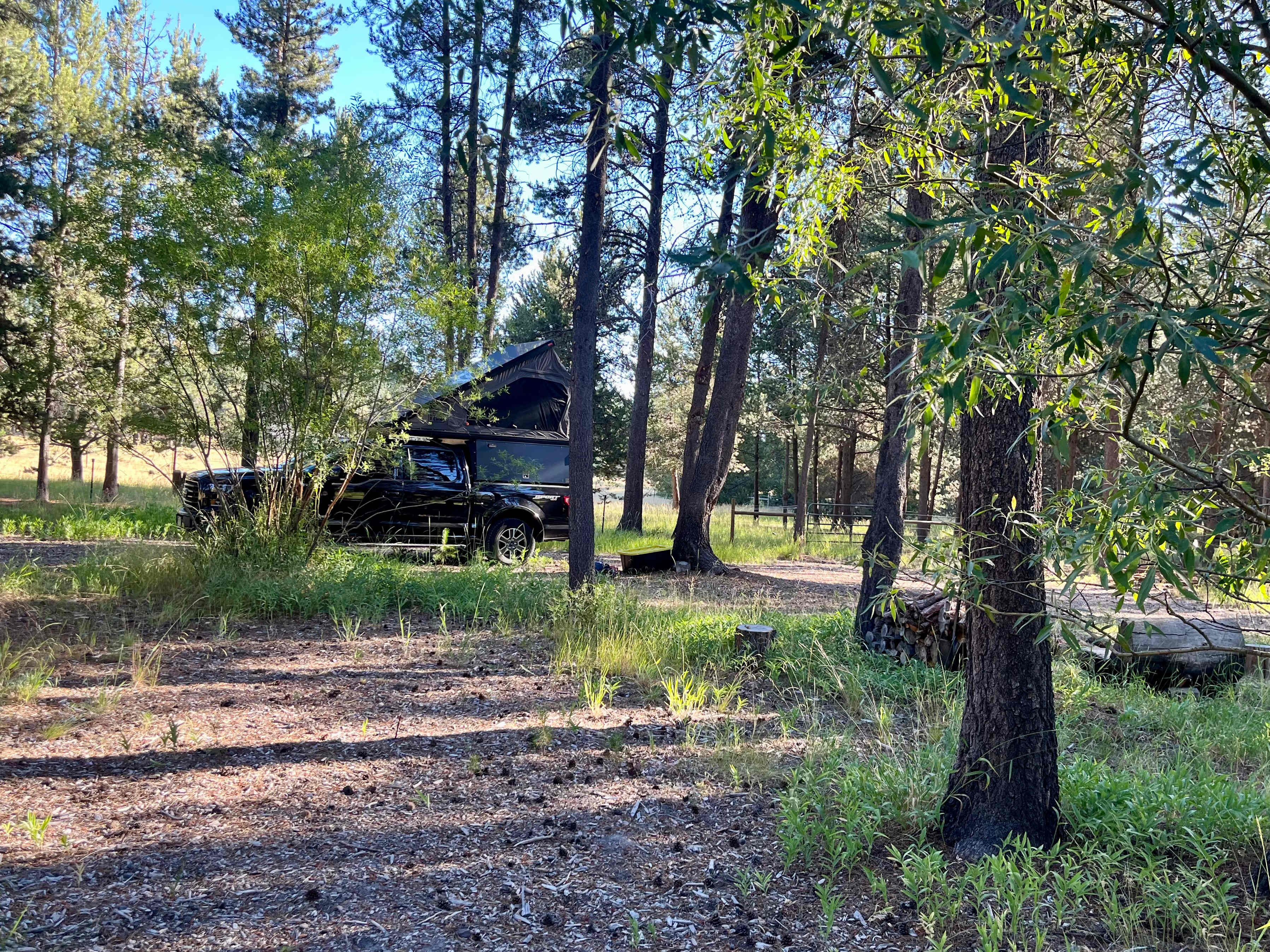 Picture of the site