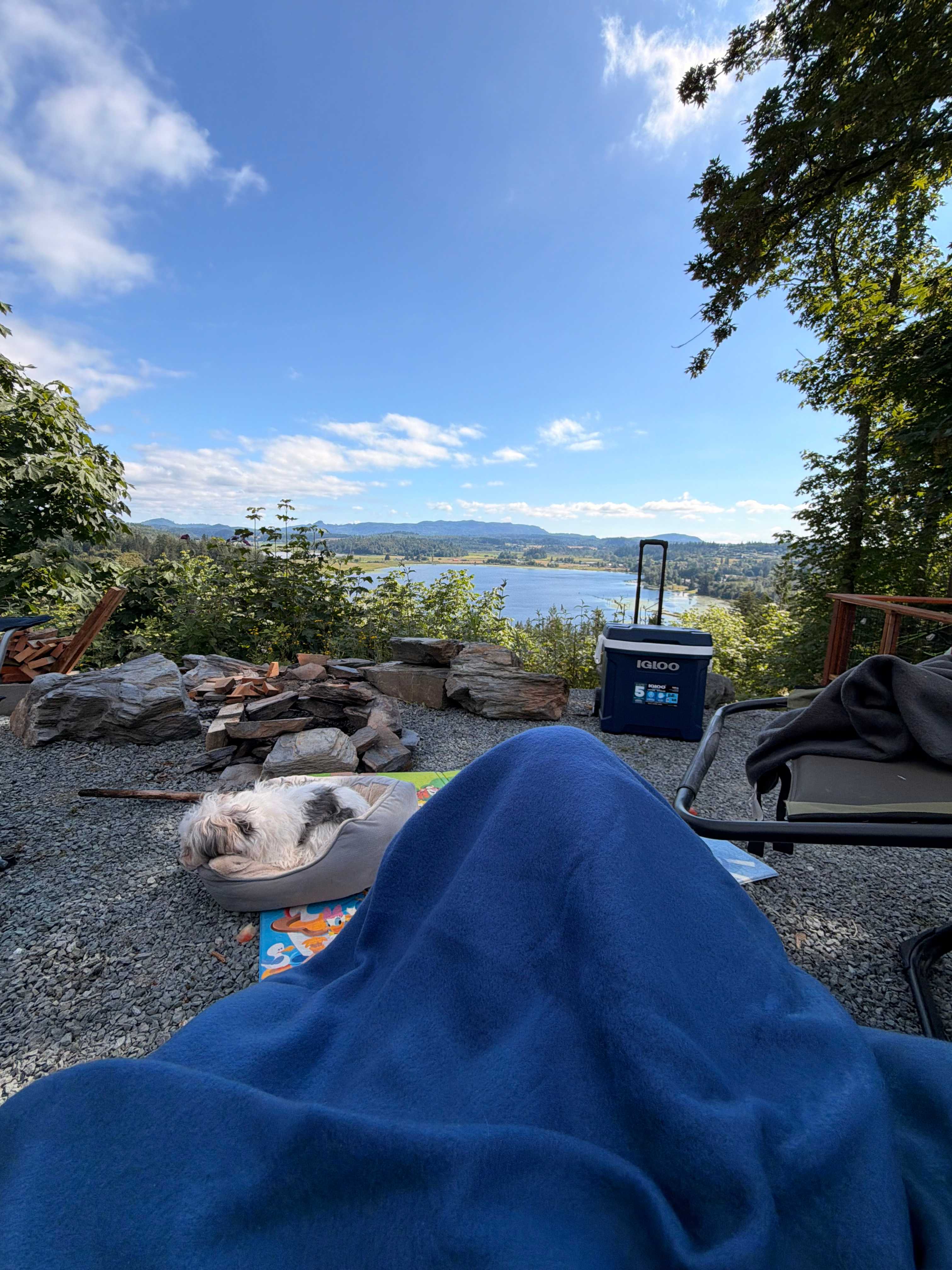 The Lookout