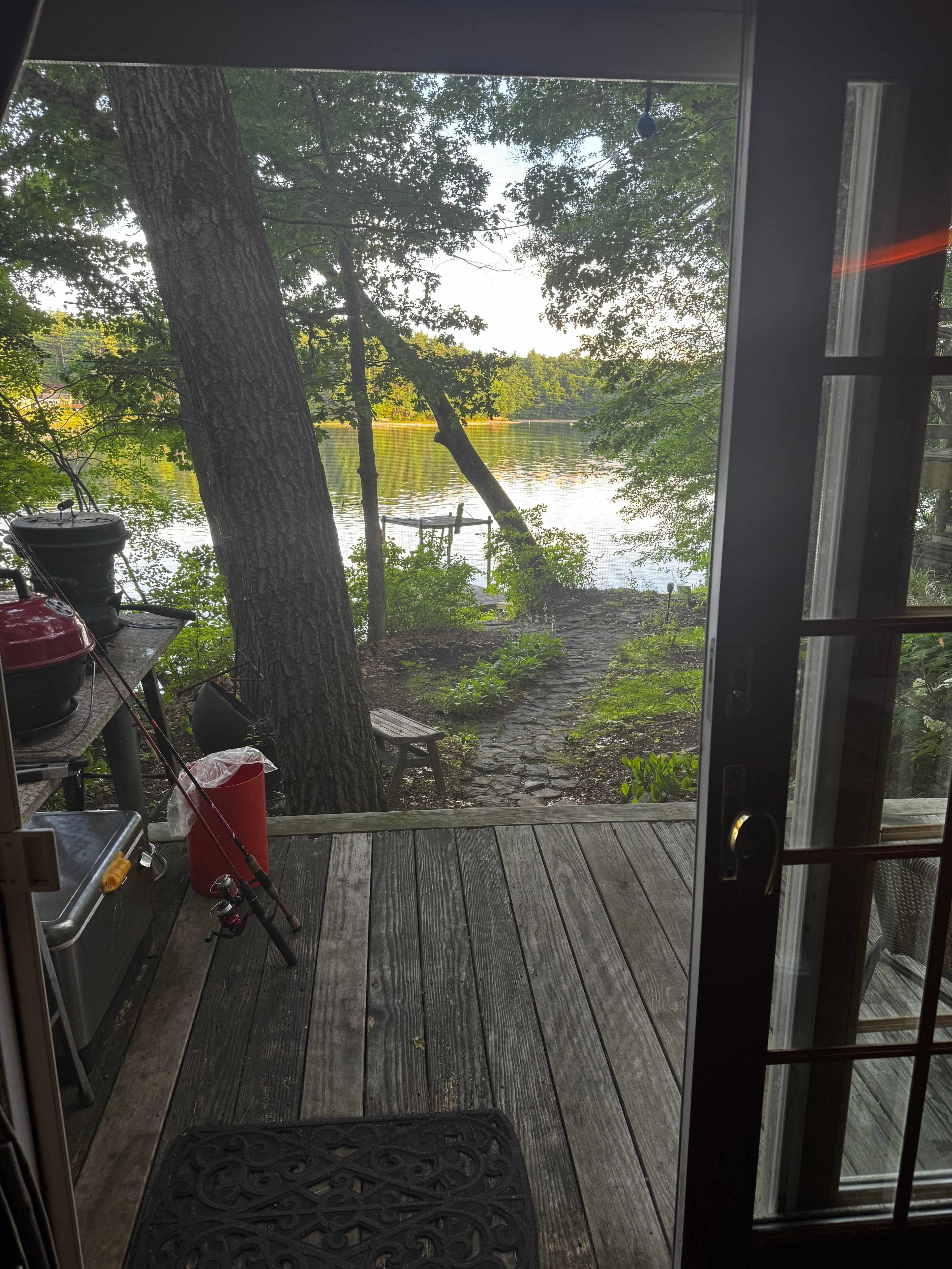 Ponderings at White Pond