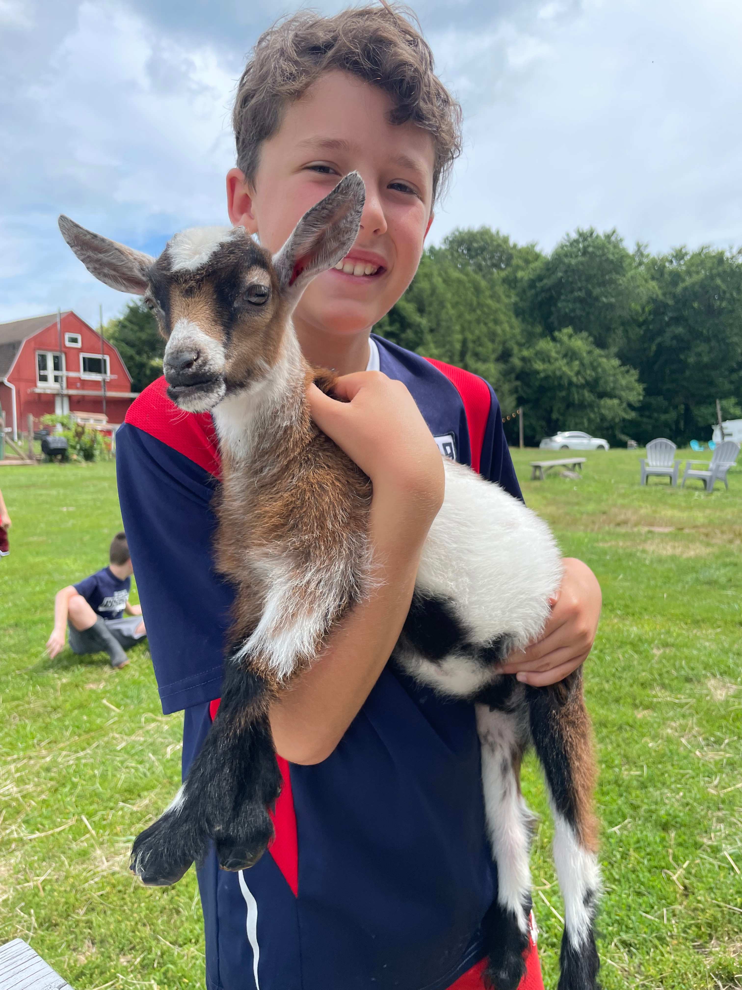 Baby goat cuddling included
