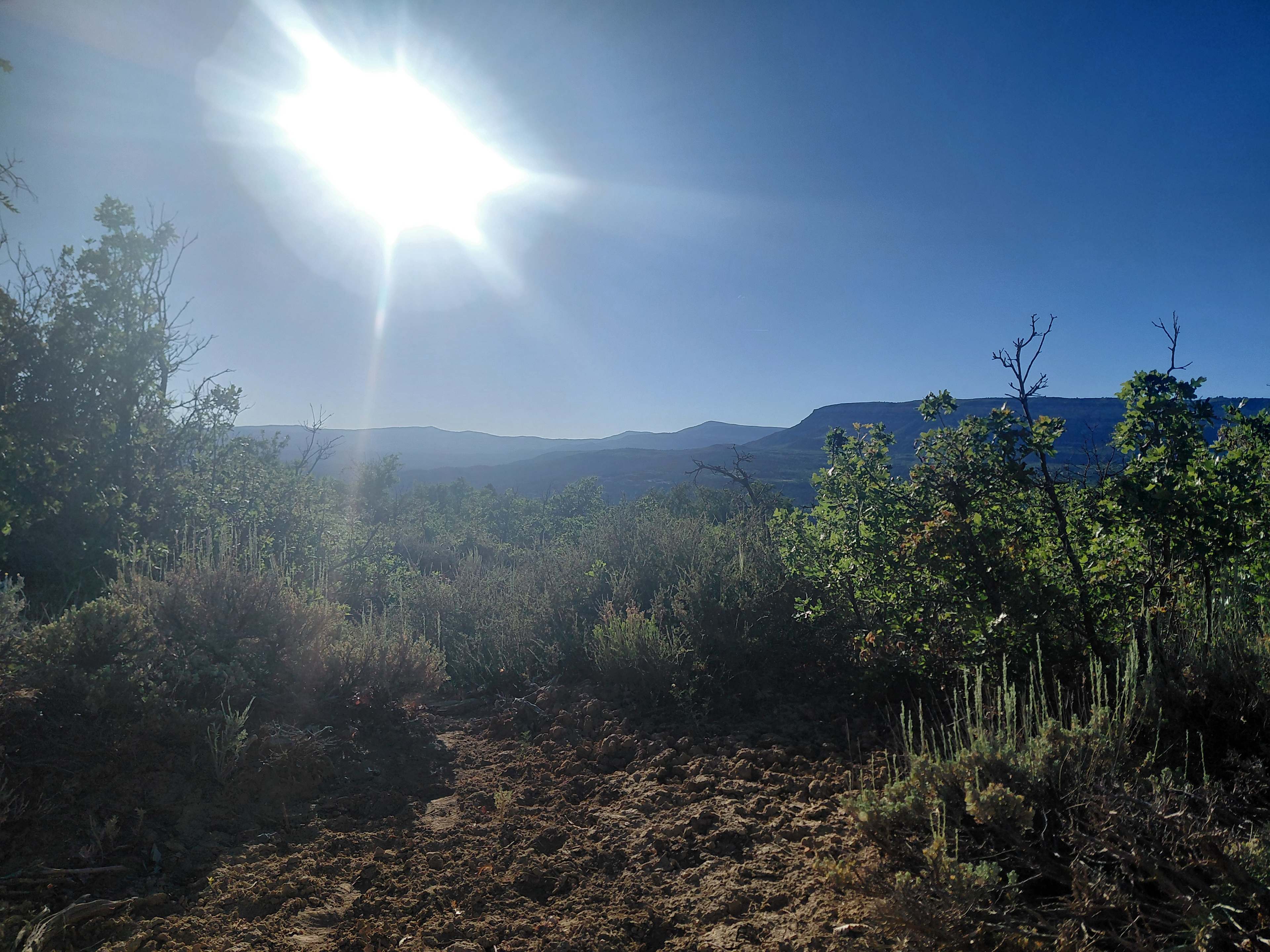 Zion Backcountry Sheep Camps