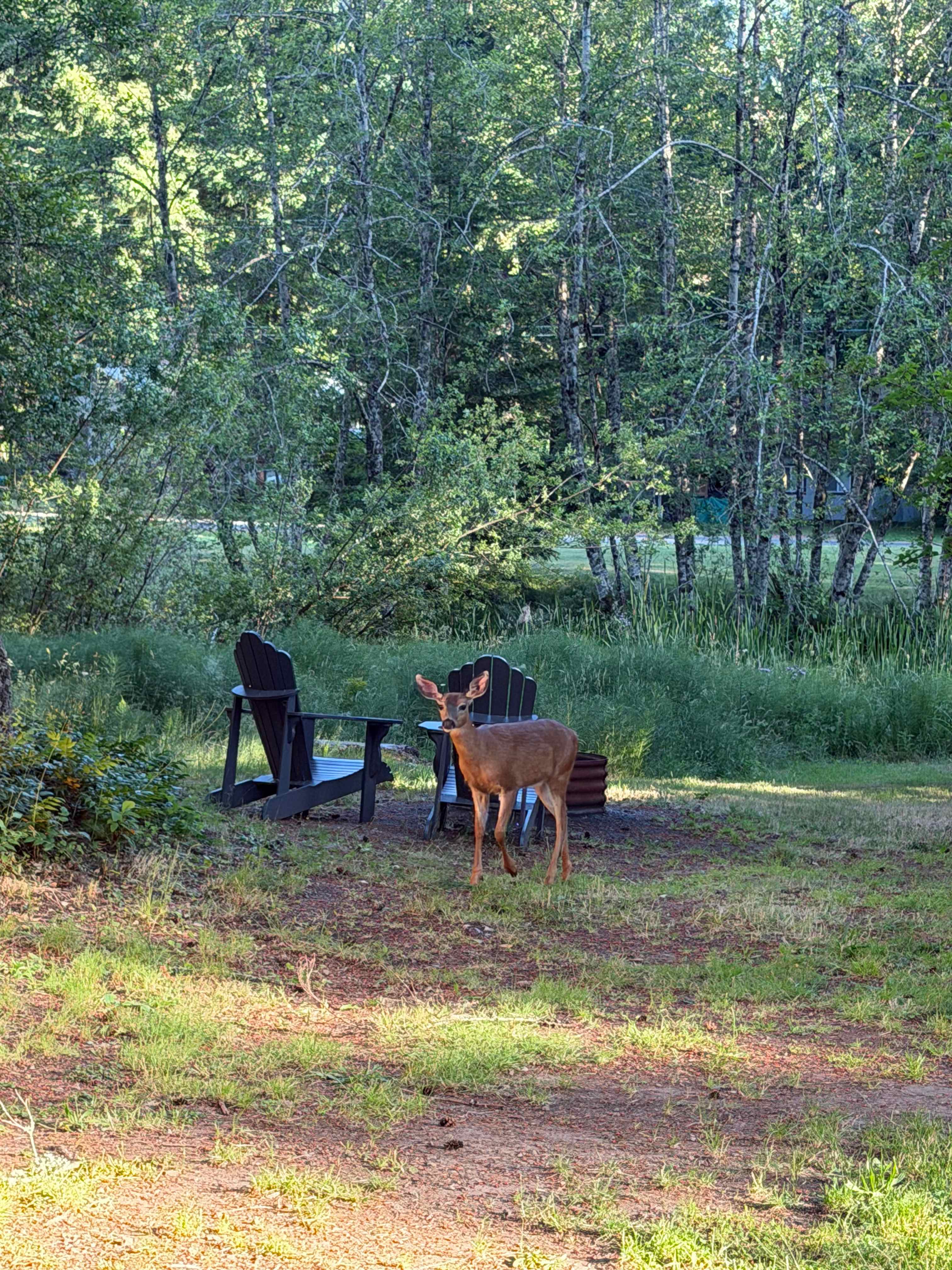 Welcoming crew