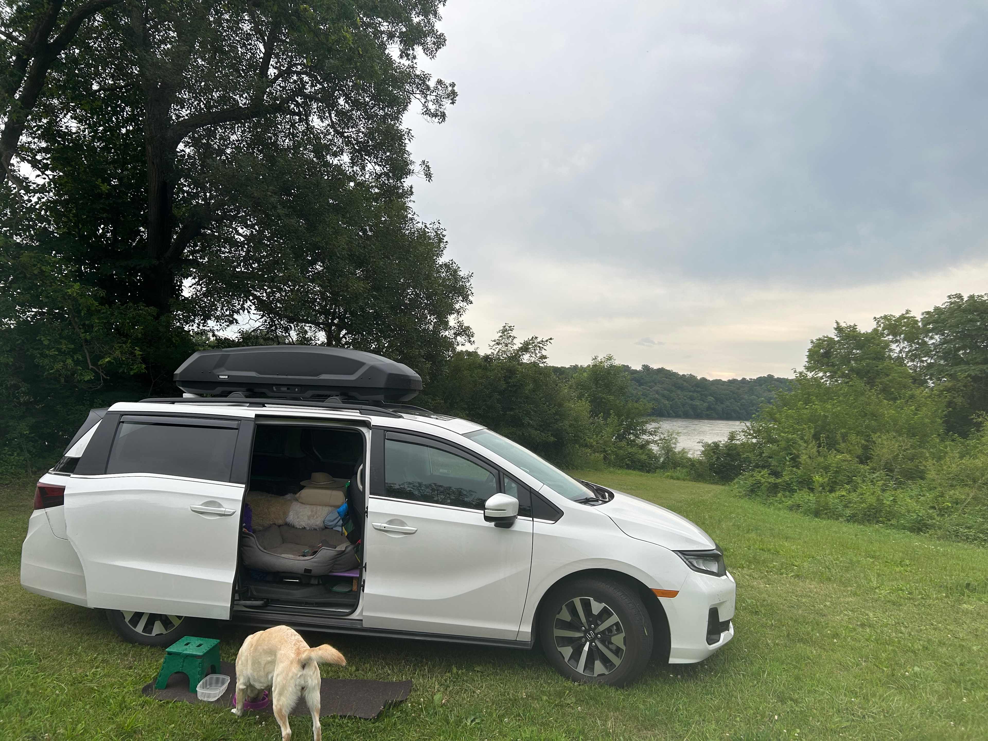 My pup having dinner. The river access is convenient.
