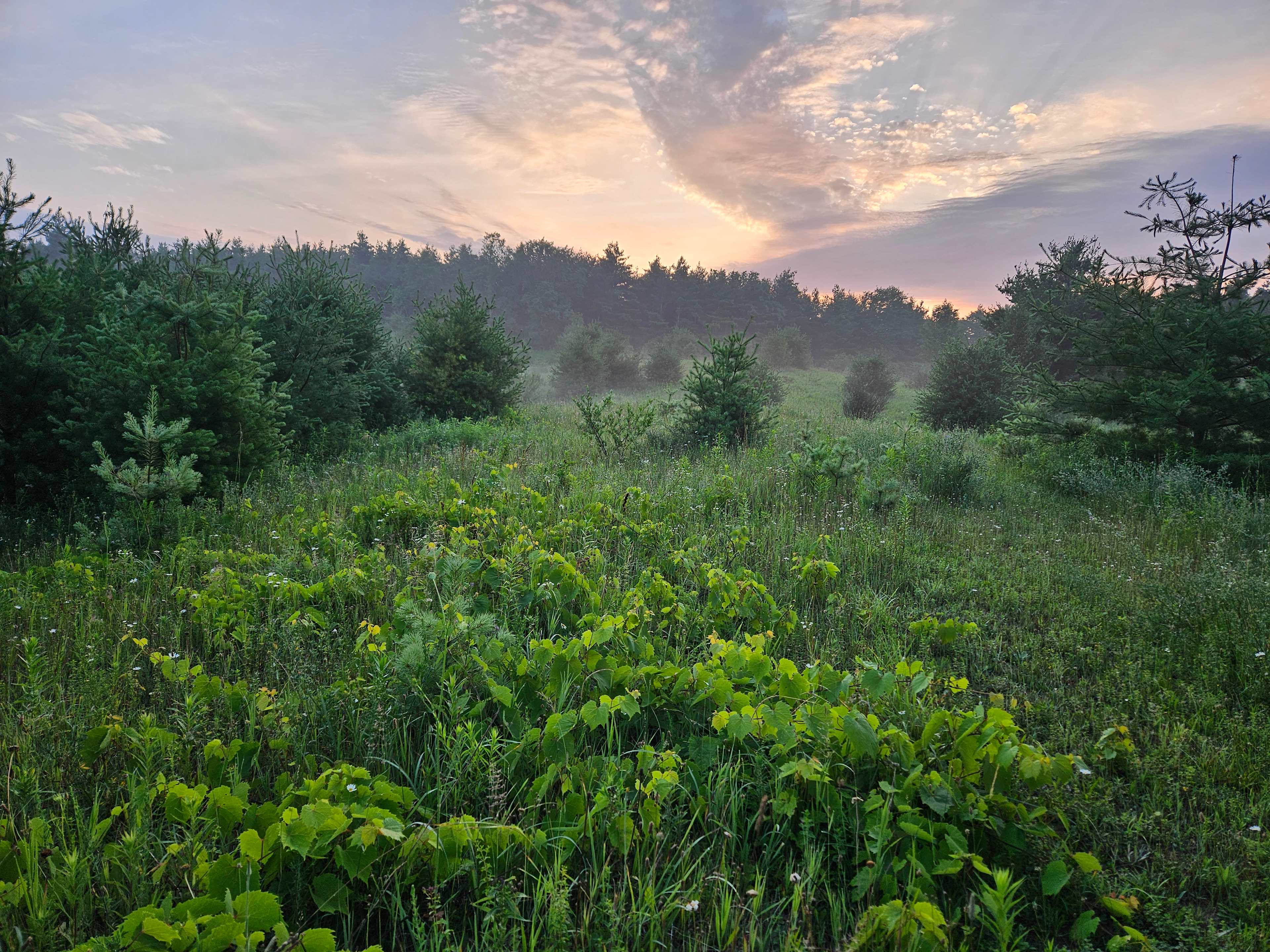 Sunrise near the site
