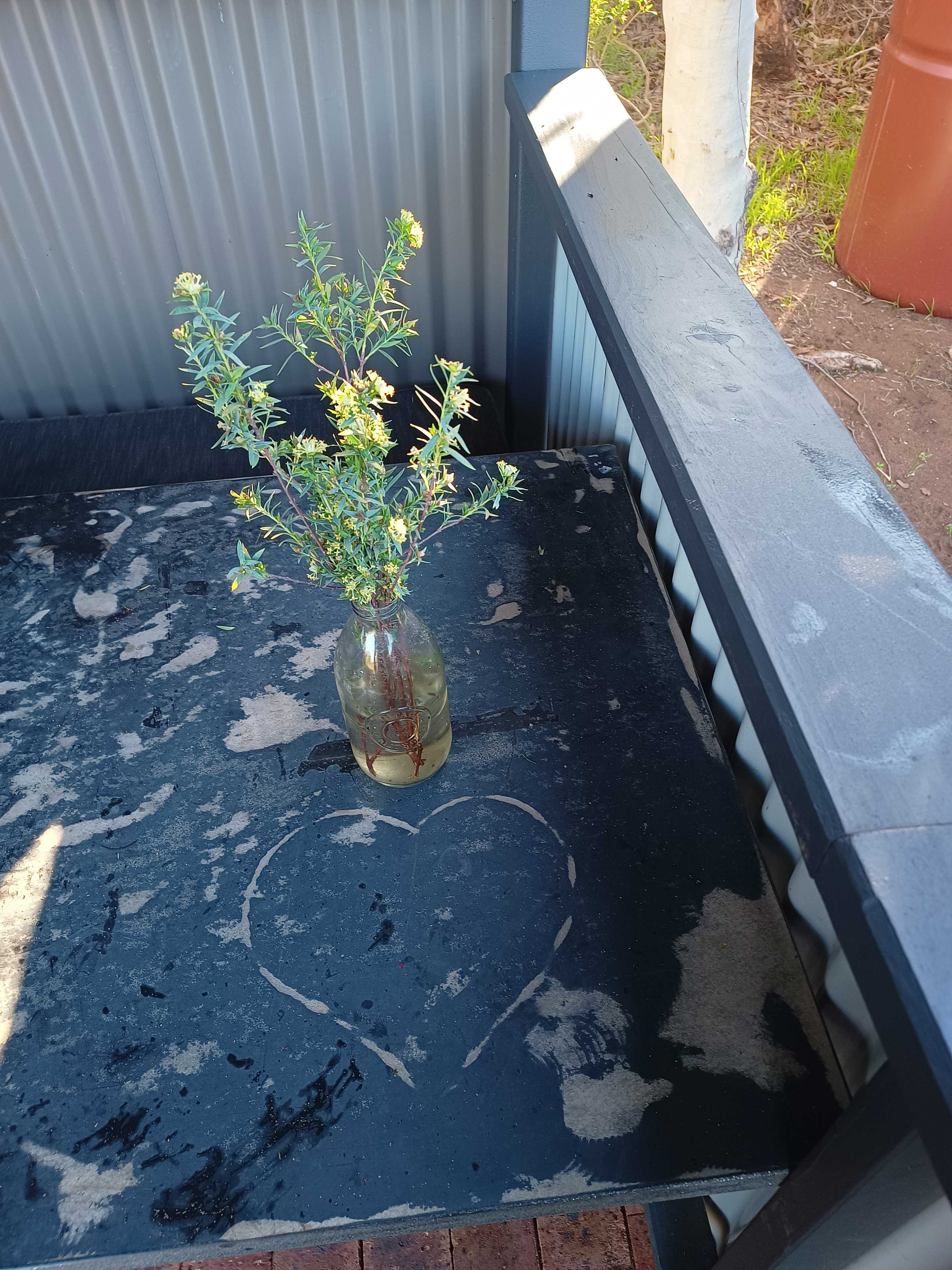 Melaleuca Hideaway