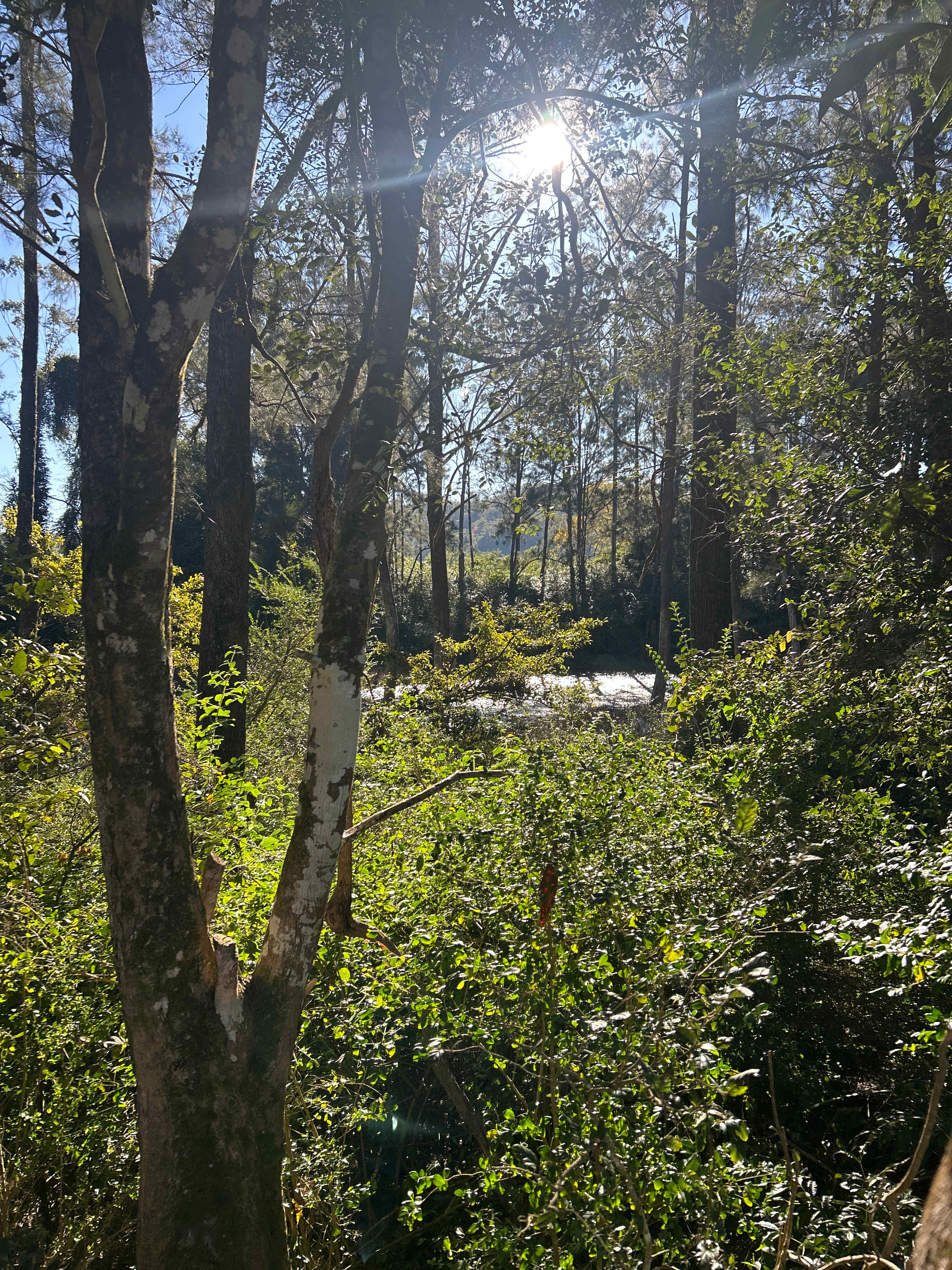 Bundilla River Camp