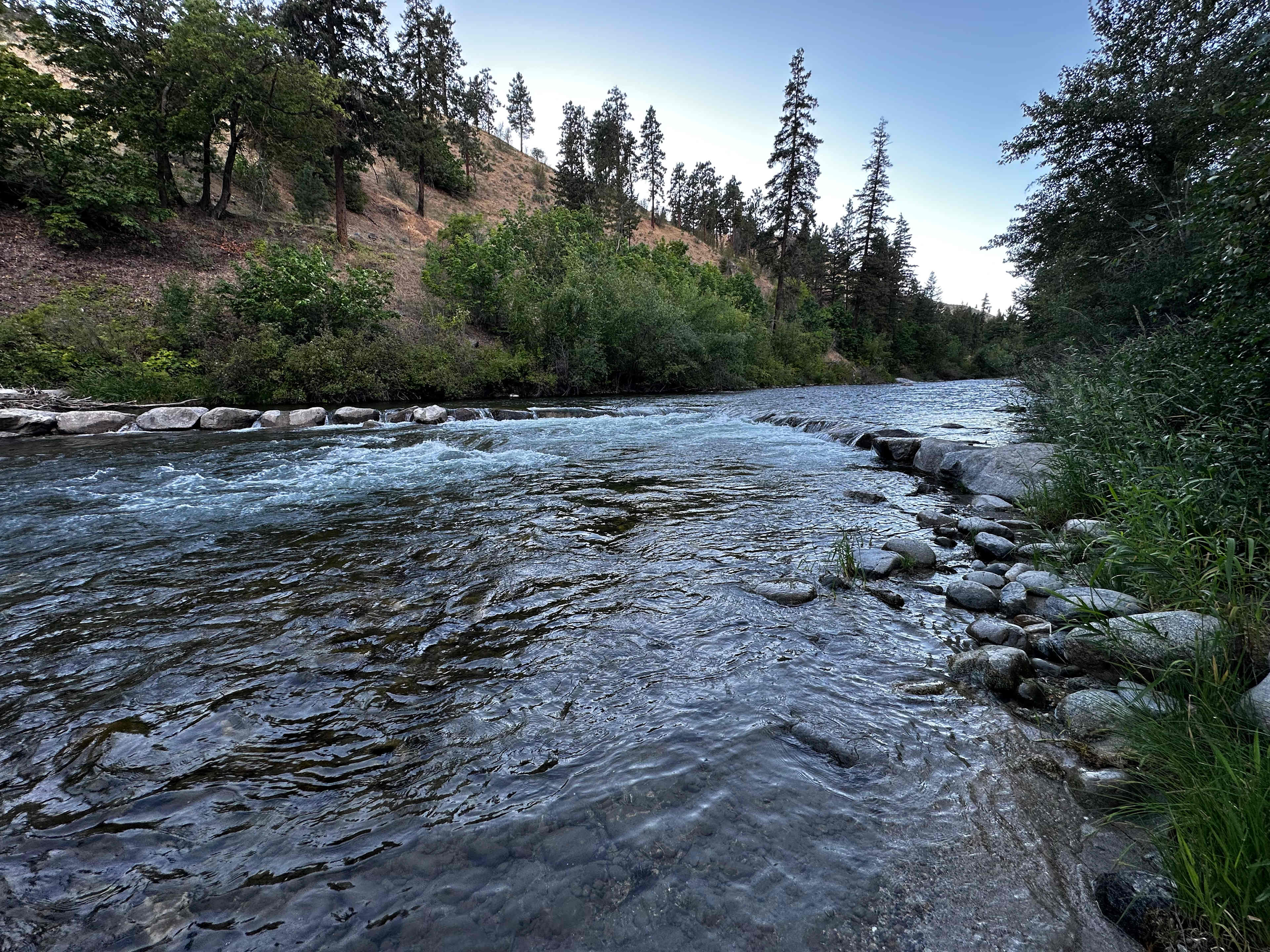 Riverside Oasis