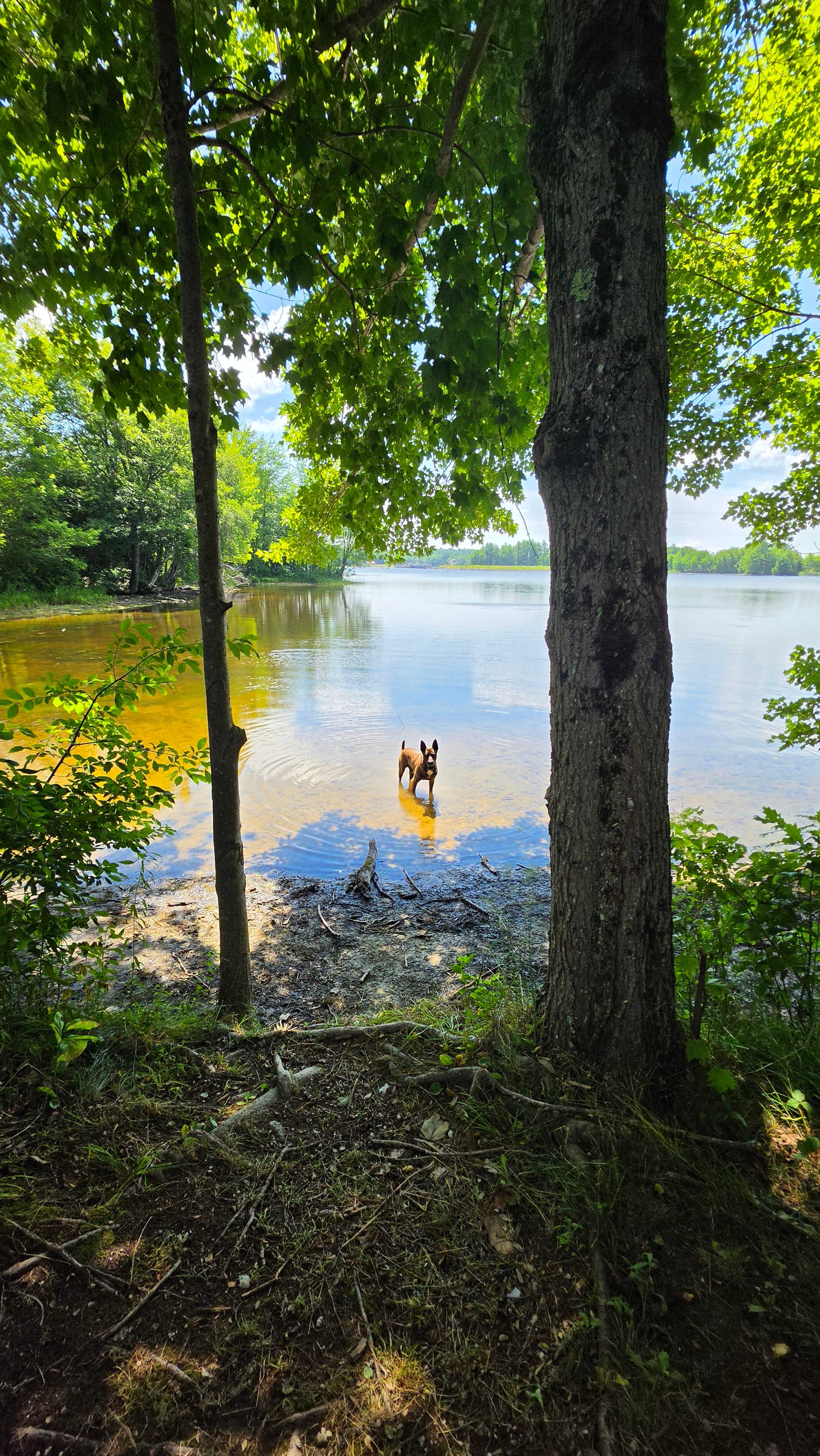 Waters Edge @ Eweturnfarm