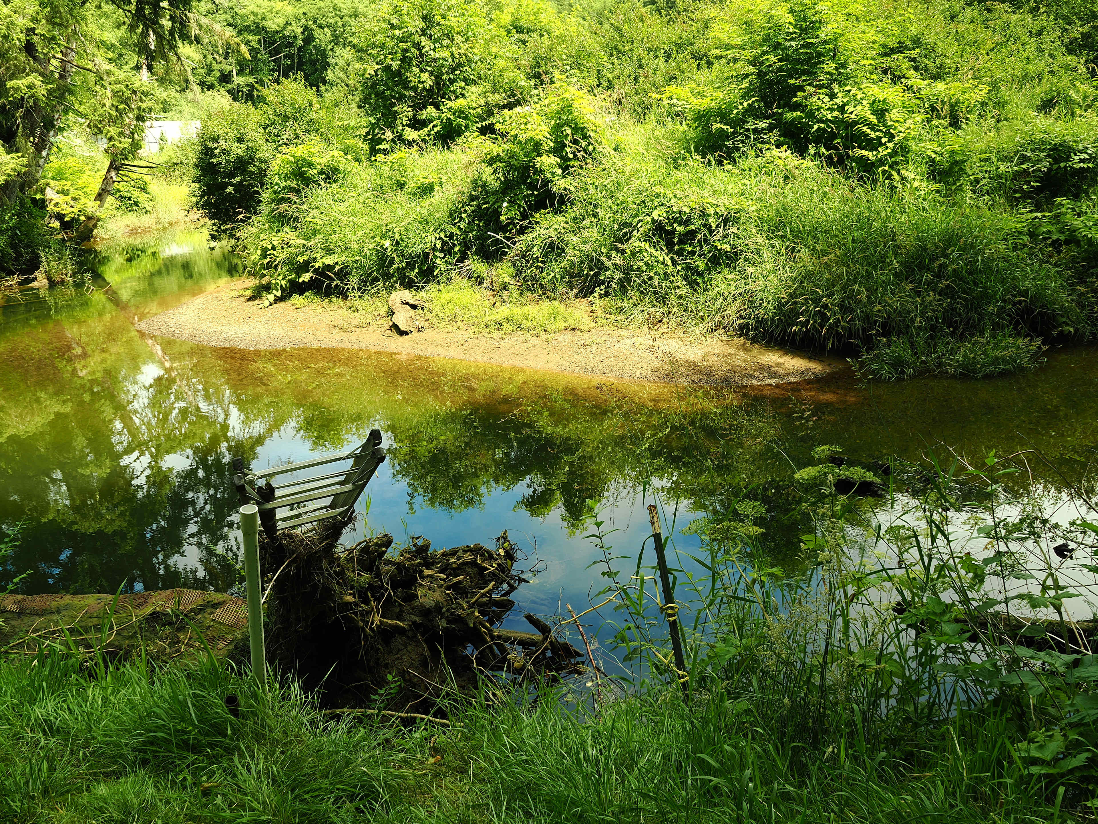 The river 