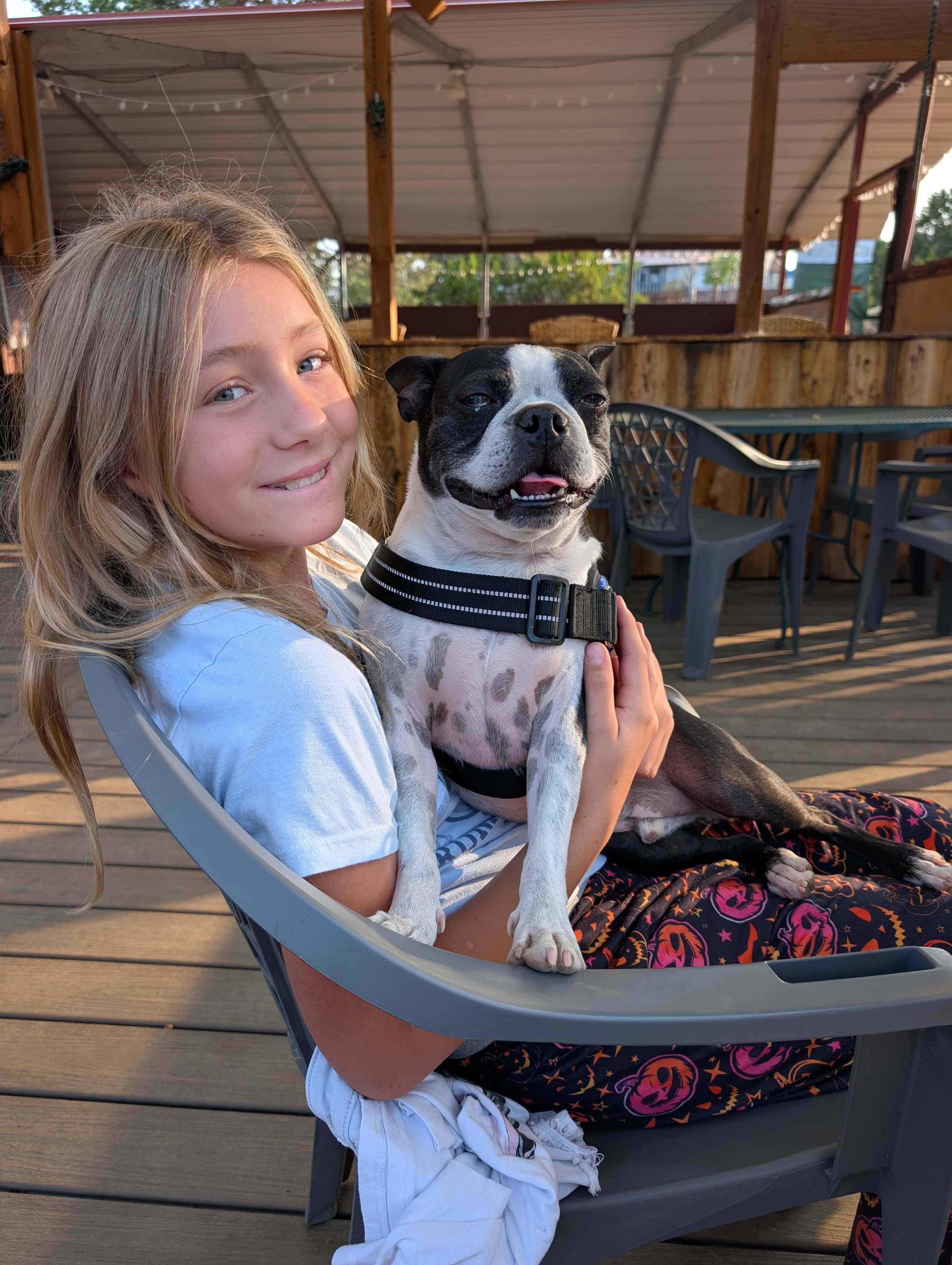 Santa Fe Treehouse Camp & Wilderness Preserve