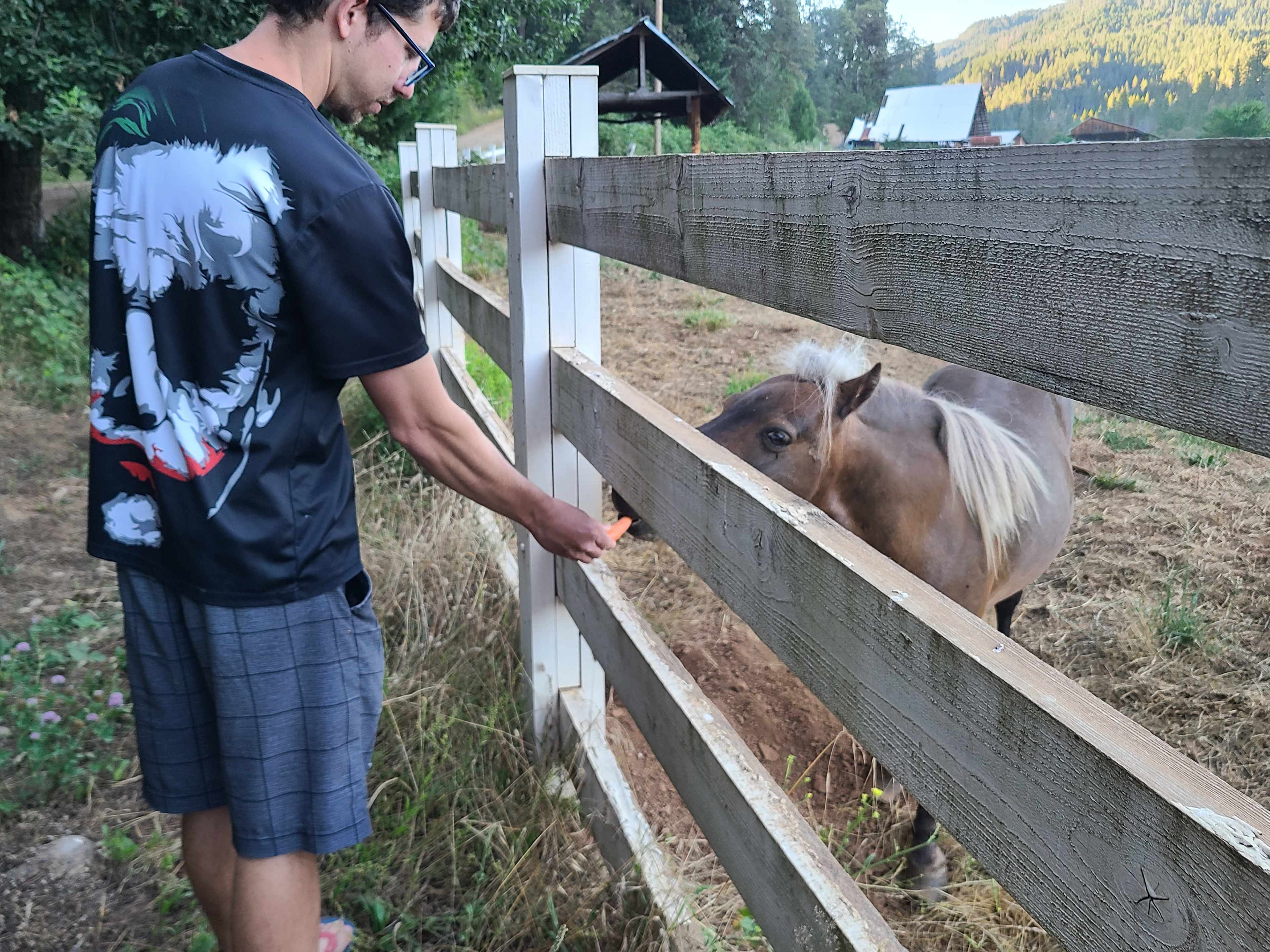 The little pony loves carrot snacks!