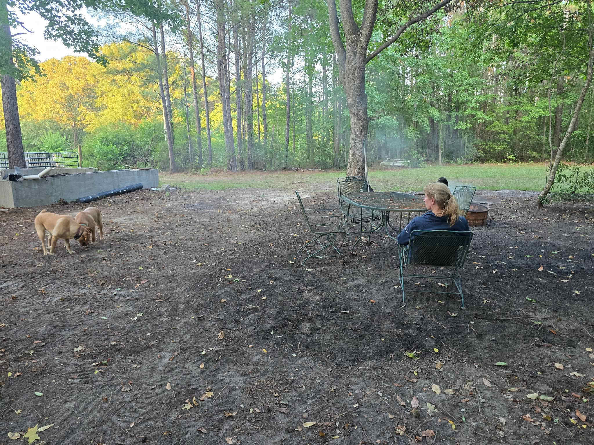 Picture of the site