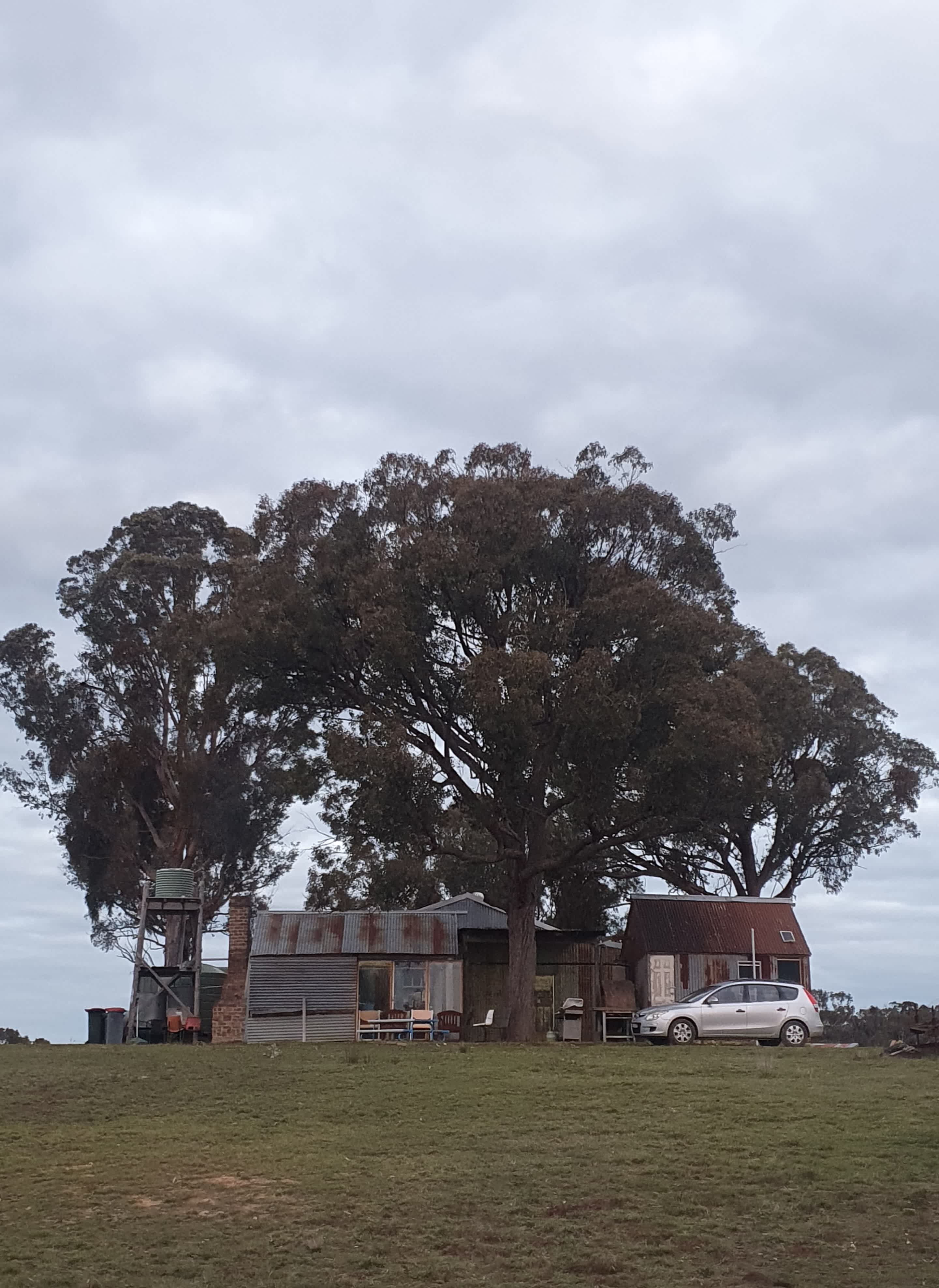 Country Journey, Boxgrove farm