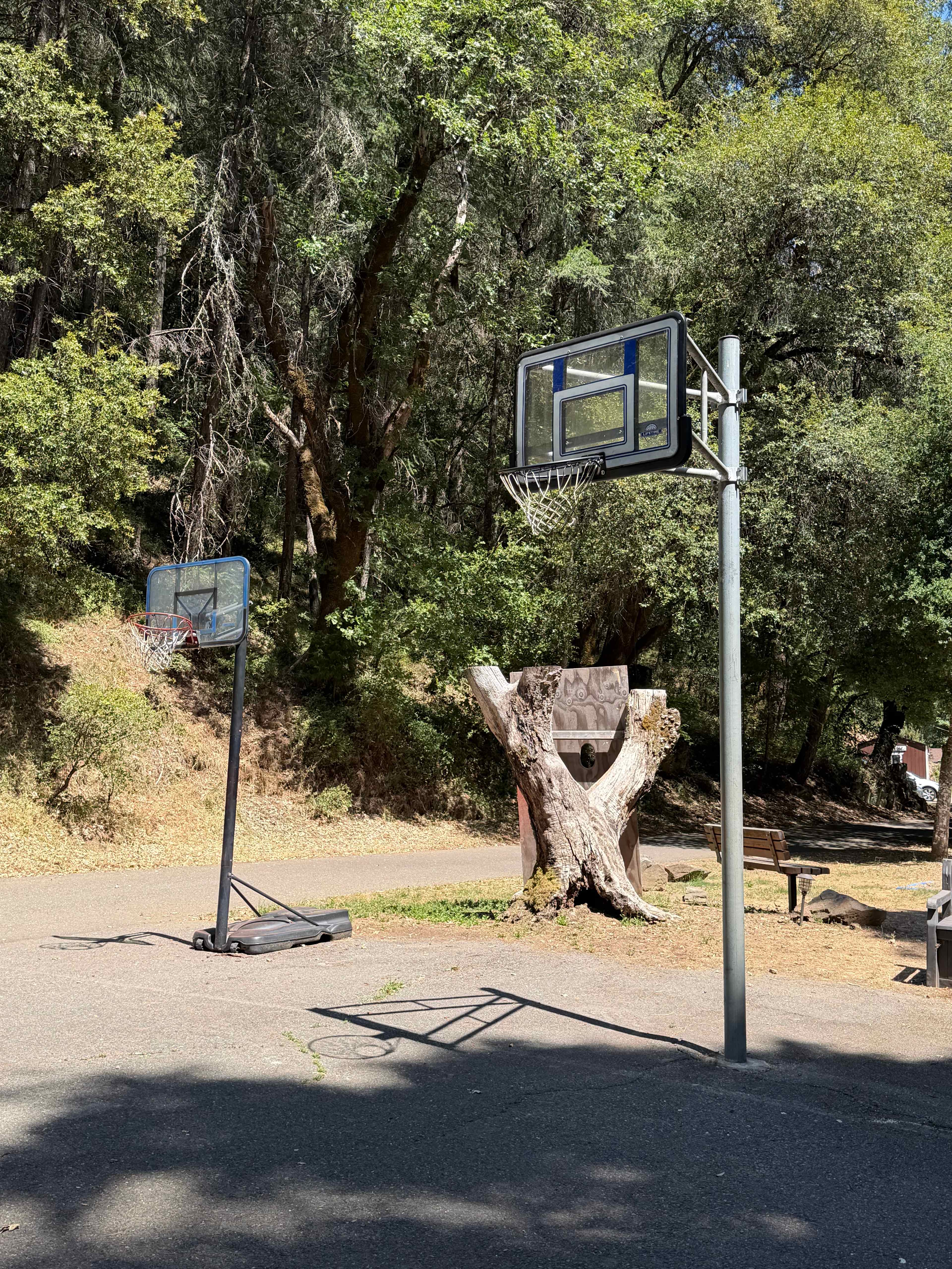Basketball court