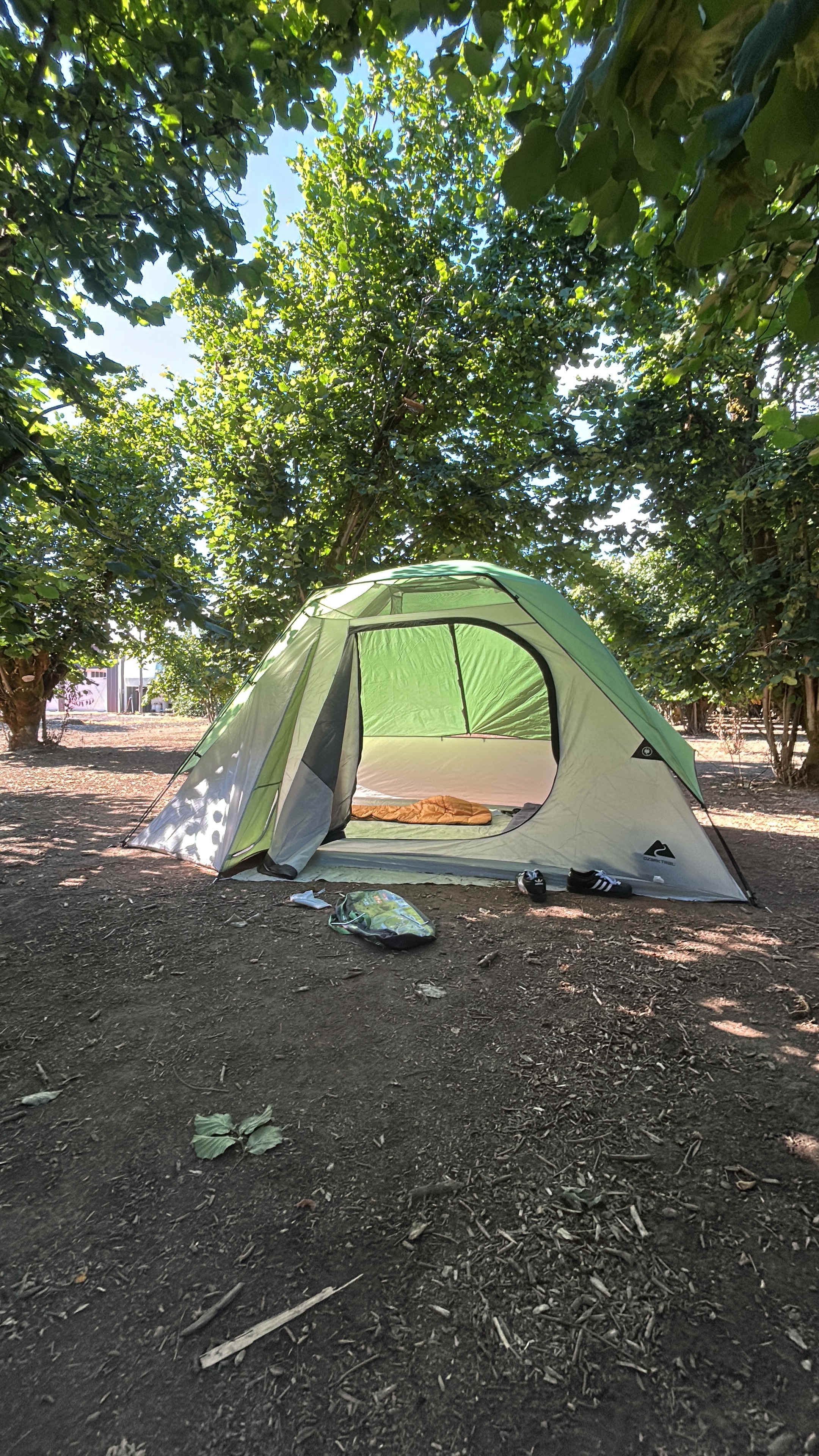Big enough space for large tents between the rows.