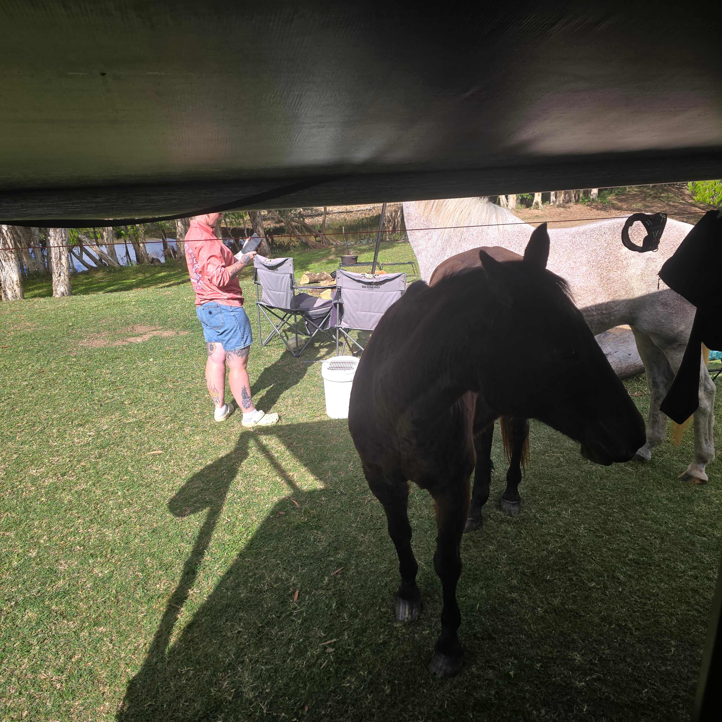 Ilbilbie Station Farm Stay