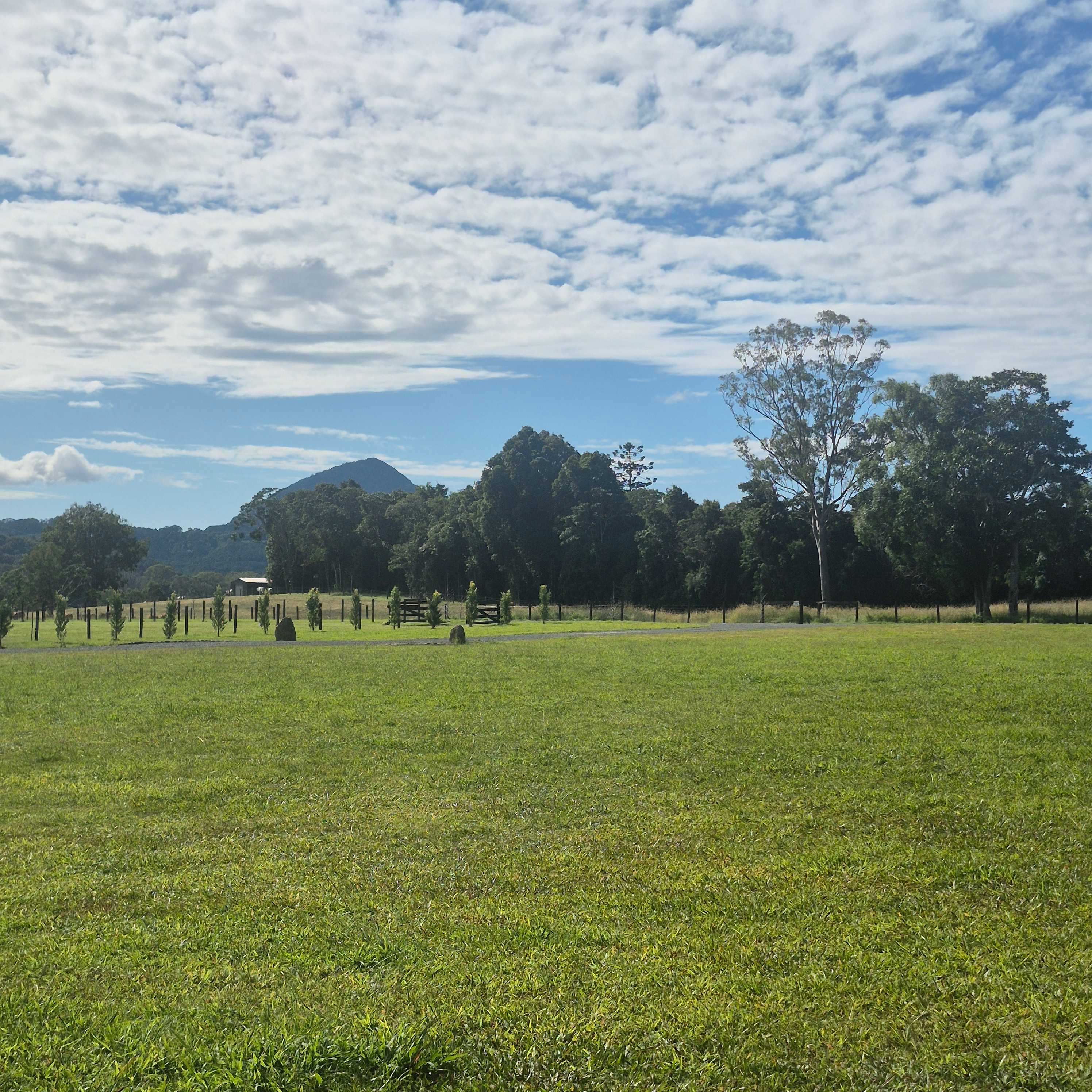 Eerwah Vale Mountain Park Noosa