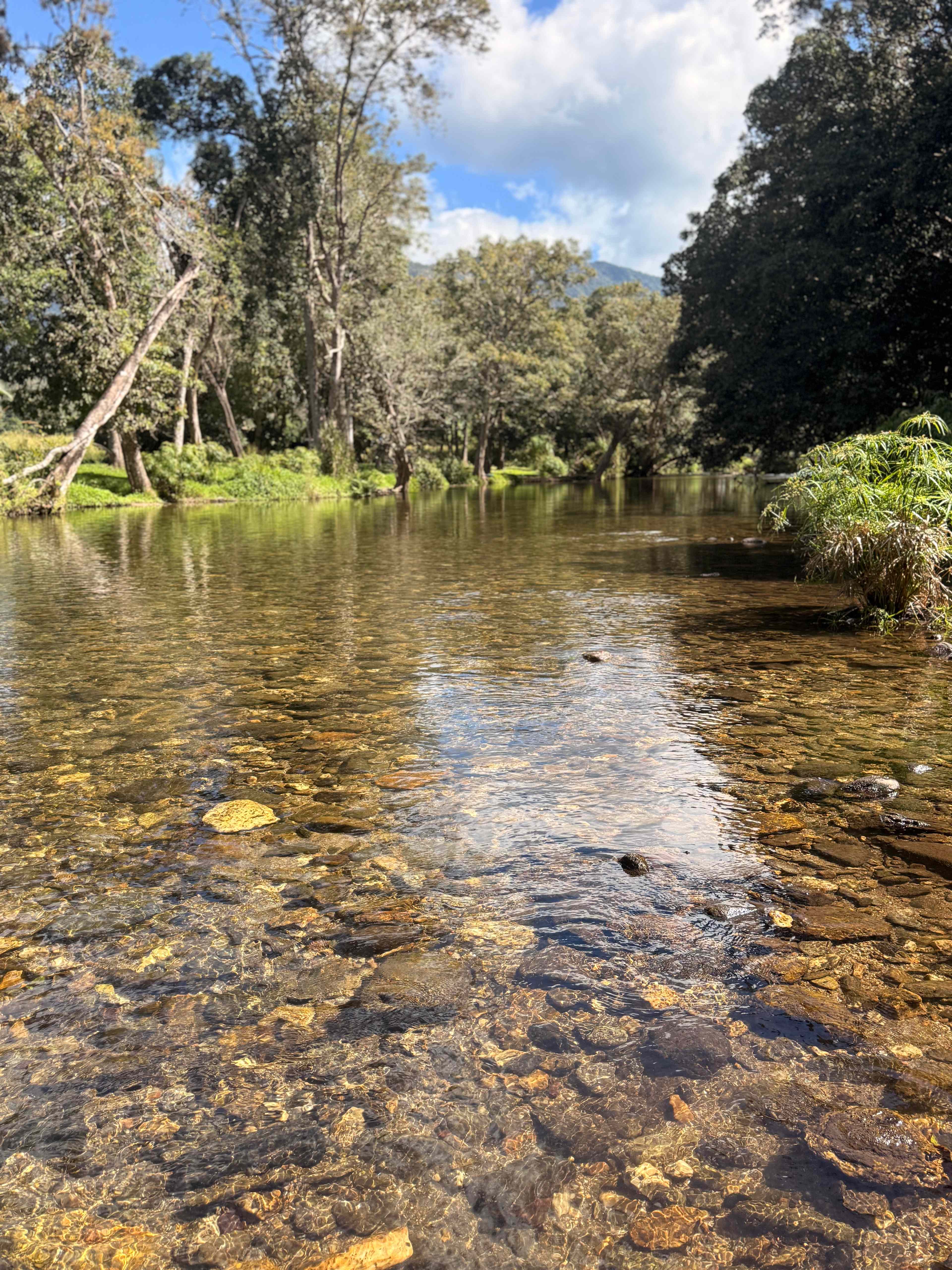 The River Ranch