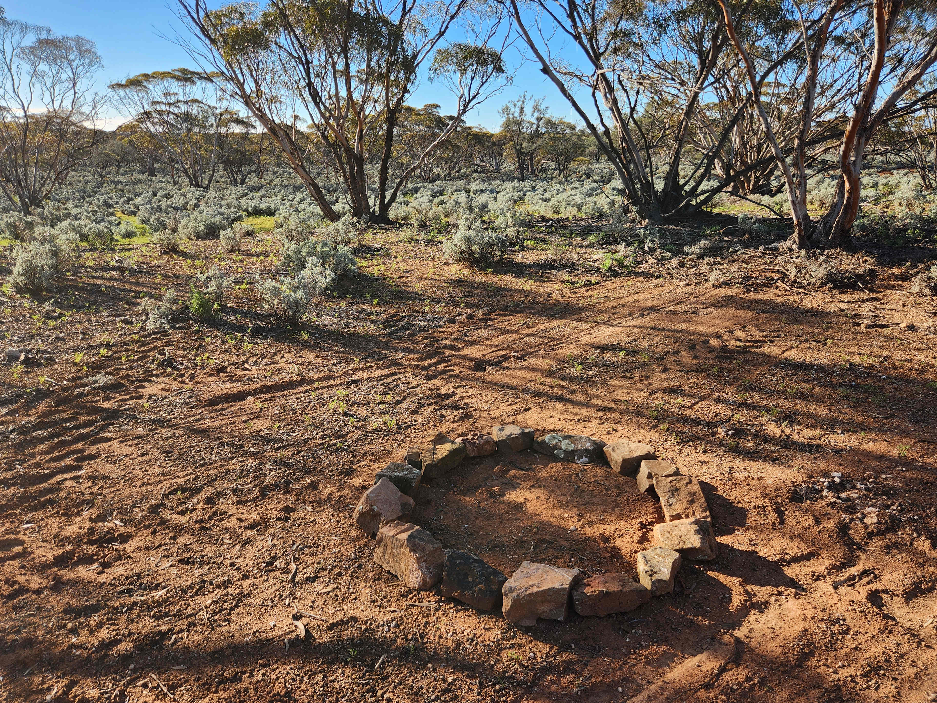Picture of the site