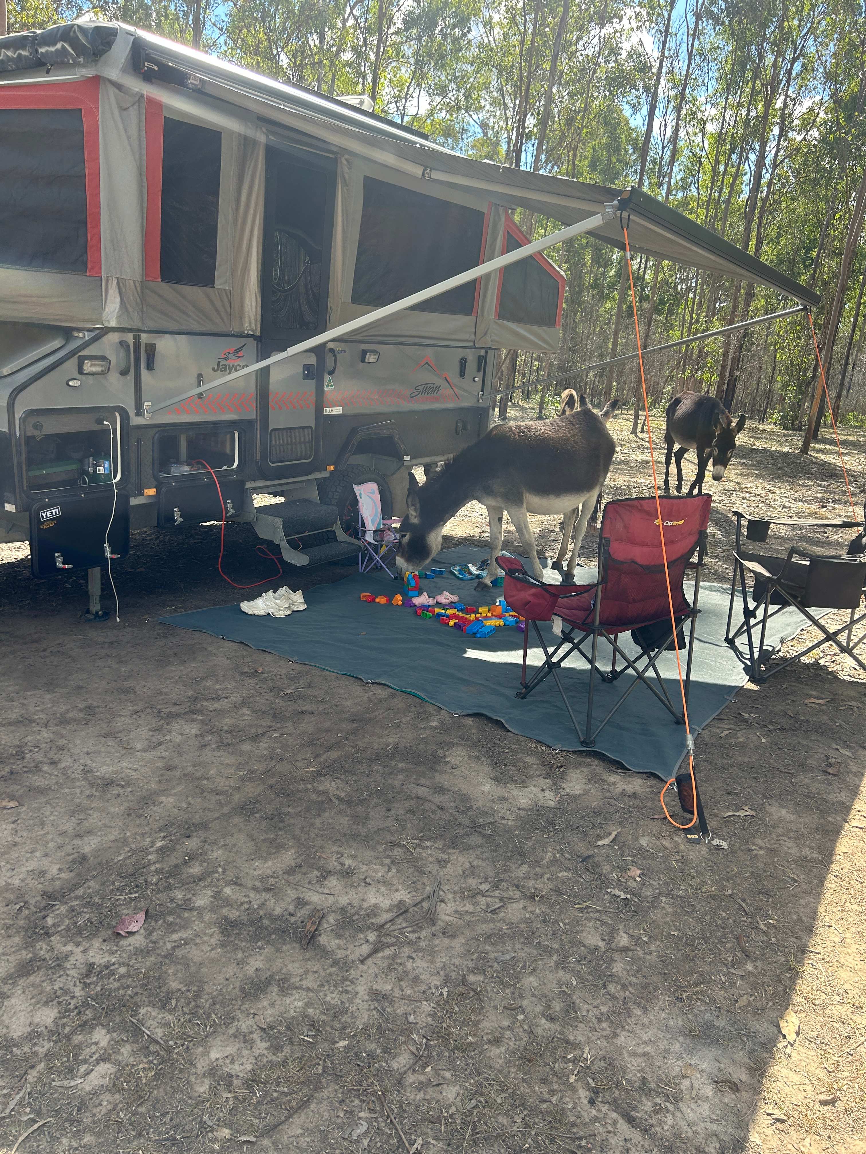 Hidden Camp Farm Stay