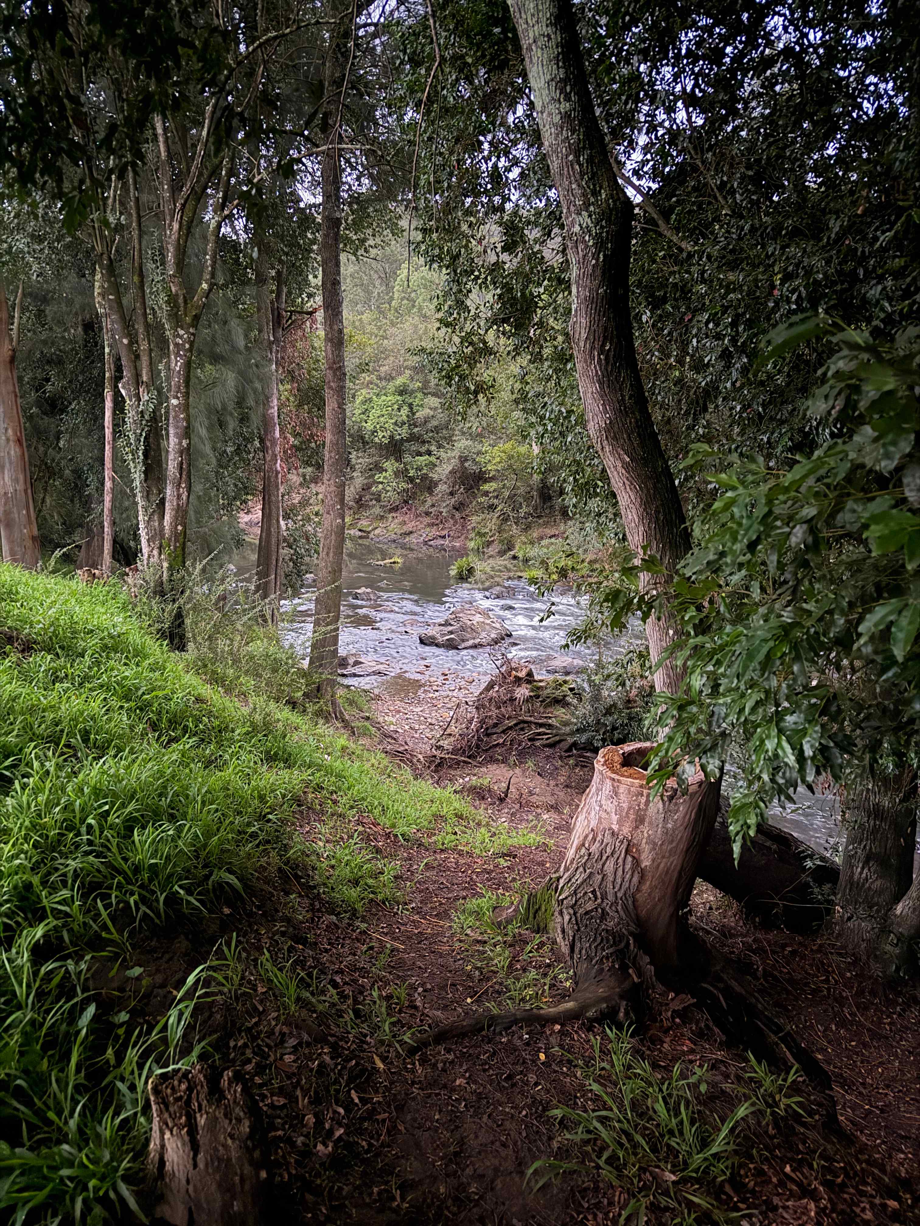Willowbank
