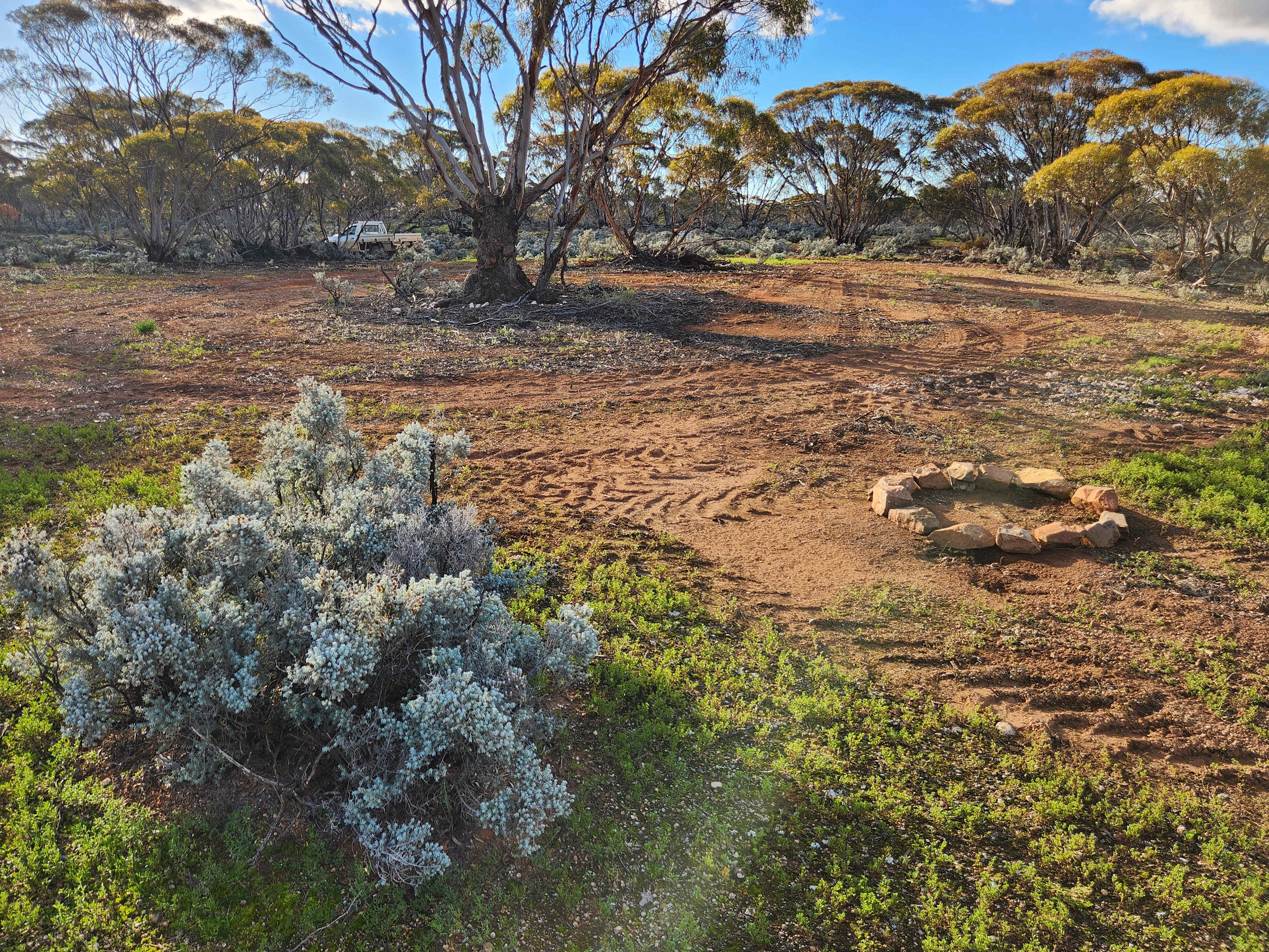 Picture of the site