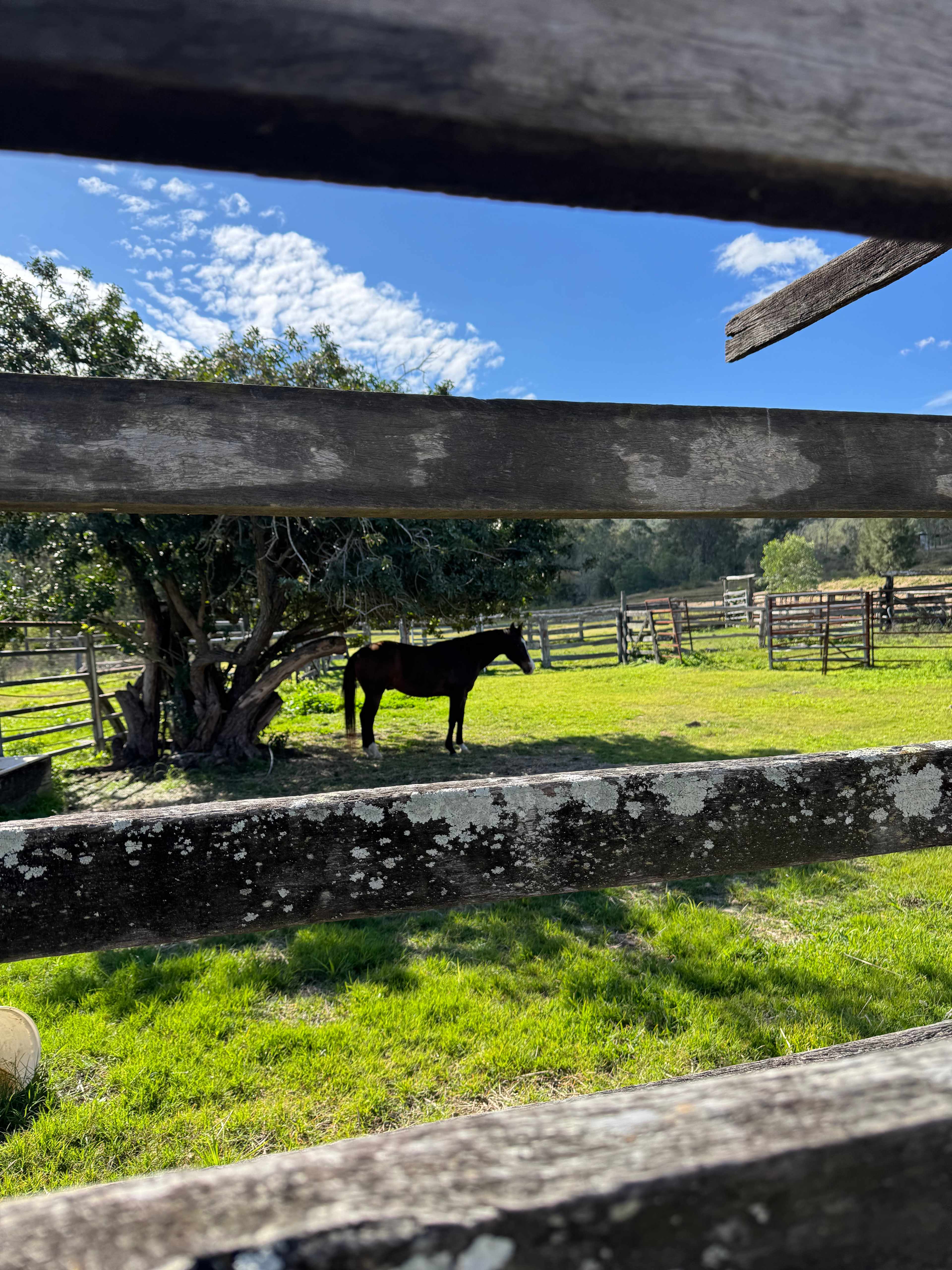 Undullah-Moore farm