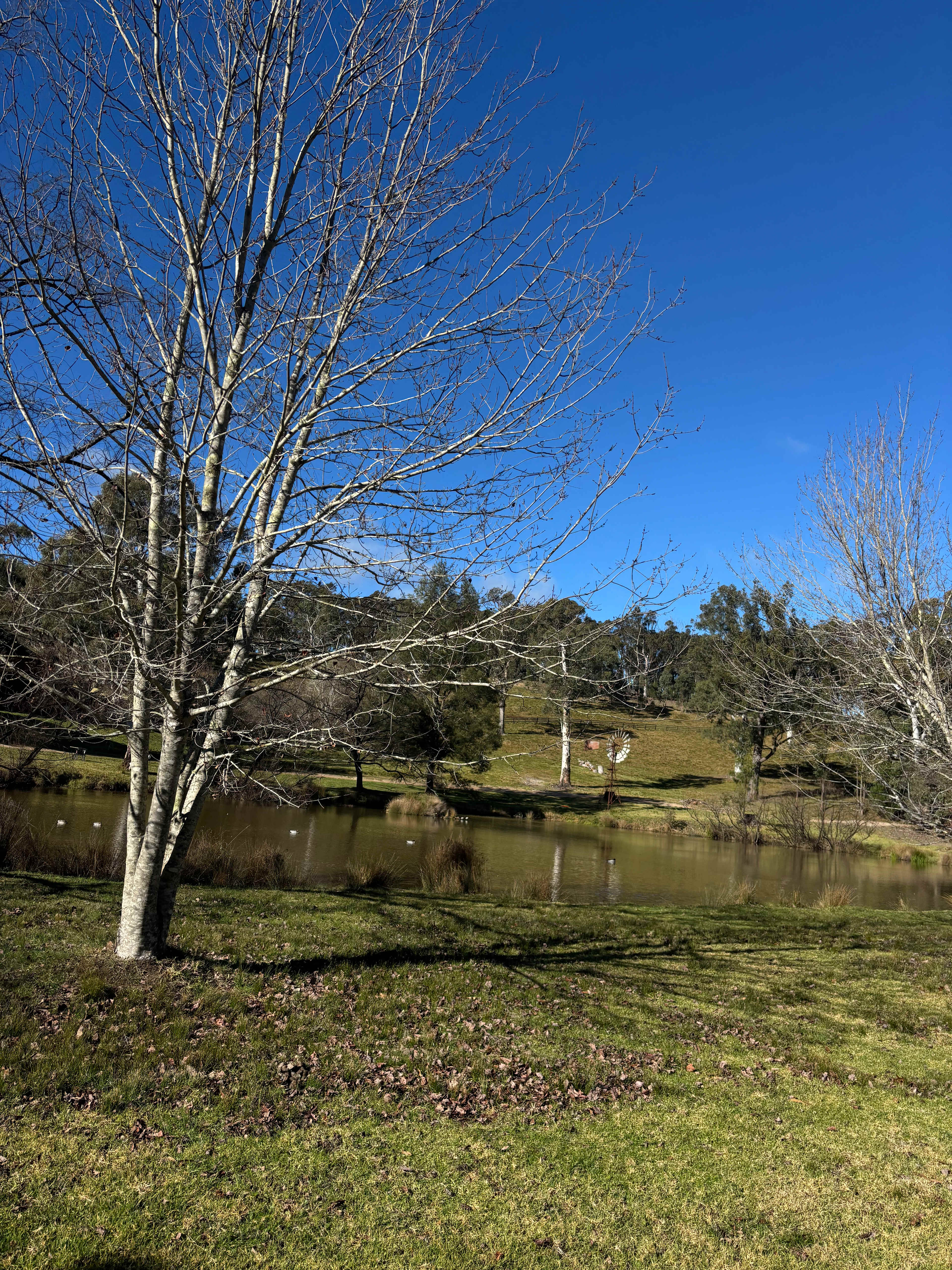 Megalong Valley Farm