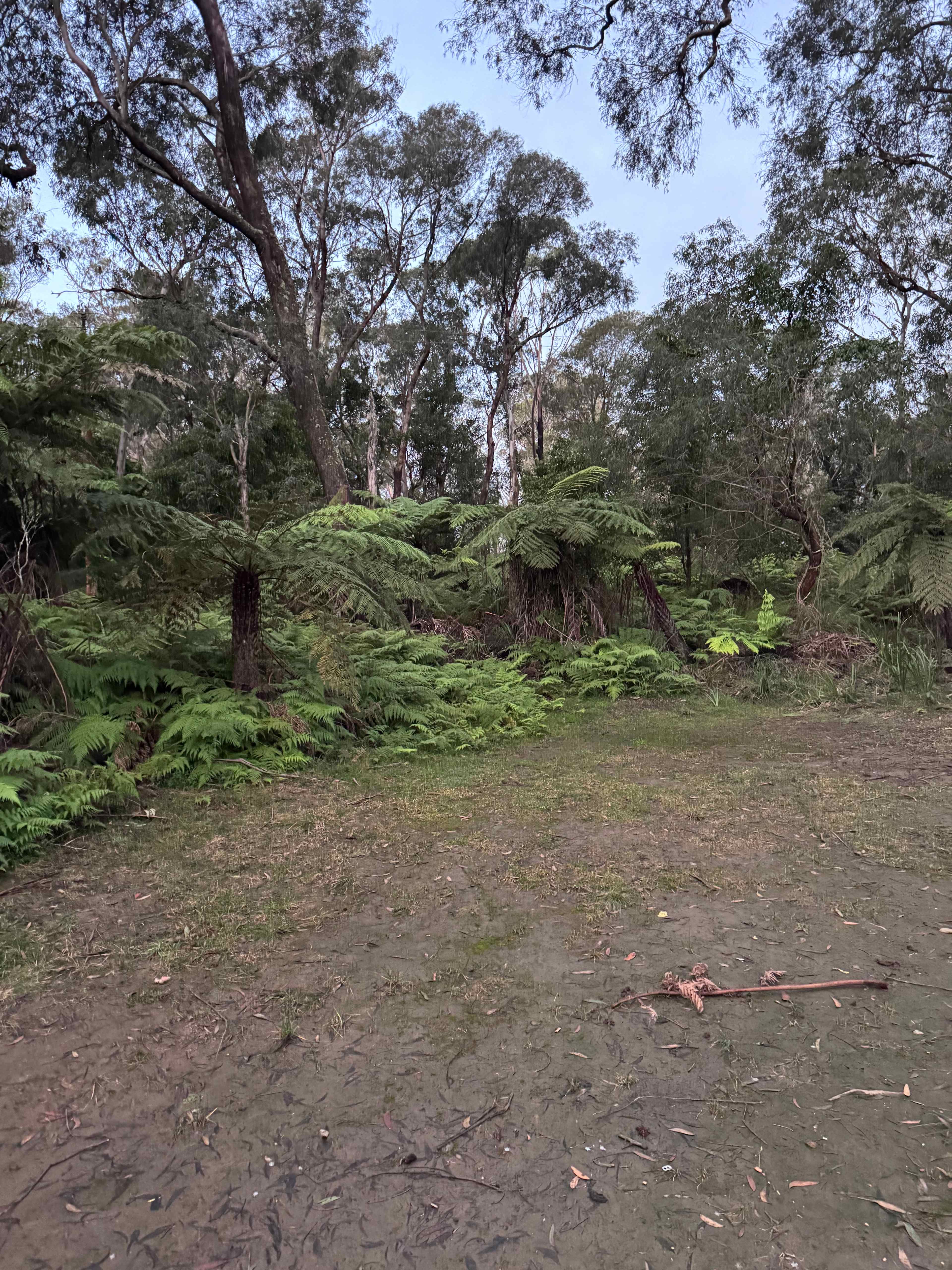 Edies Camp 2 