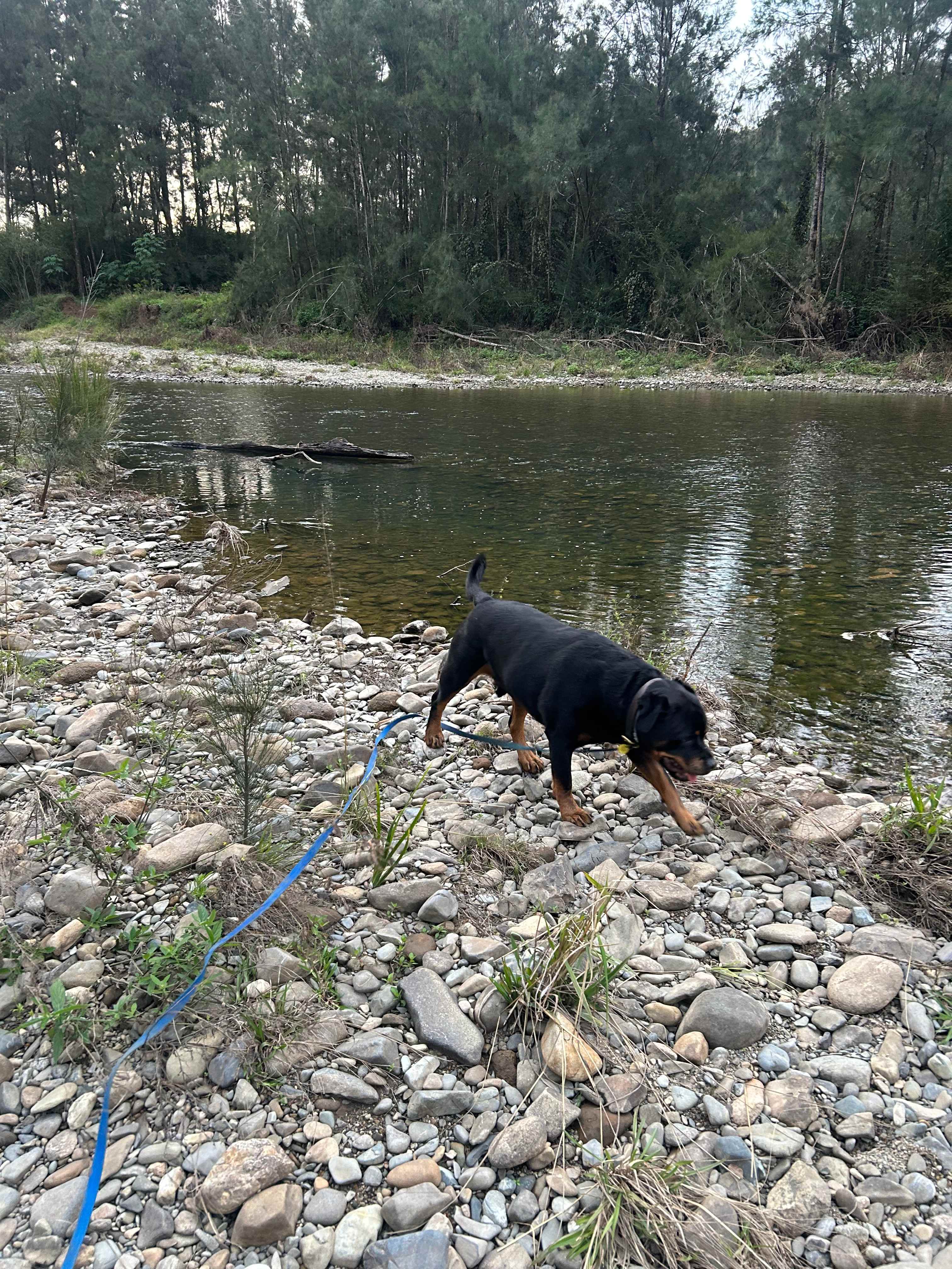 Short walk to the river