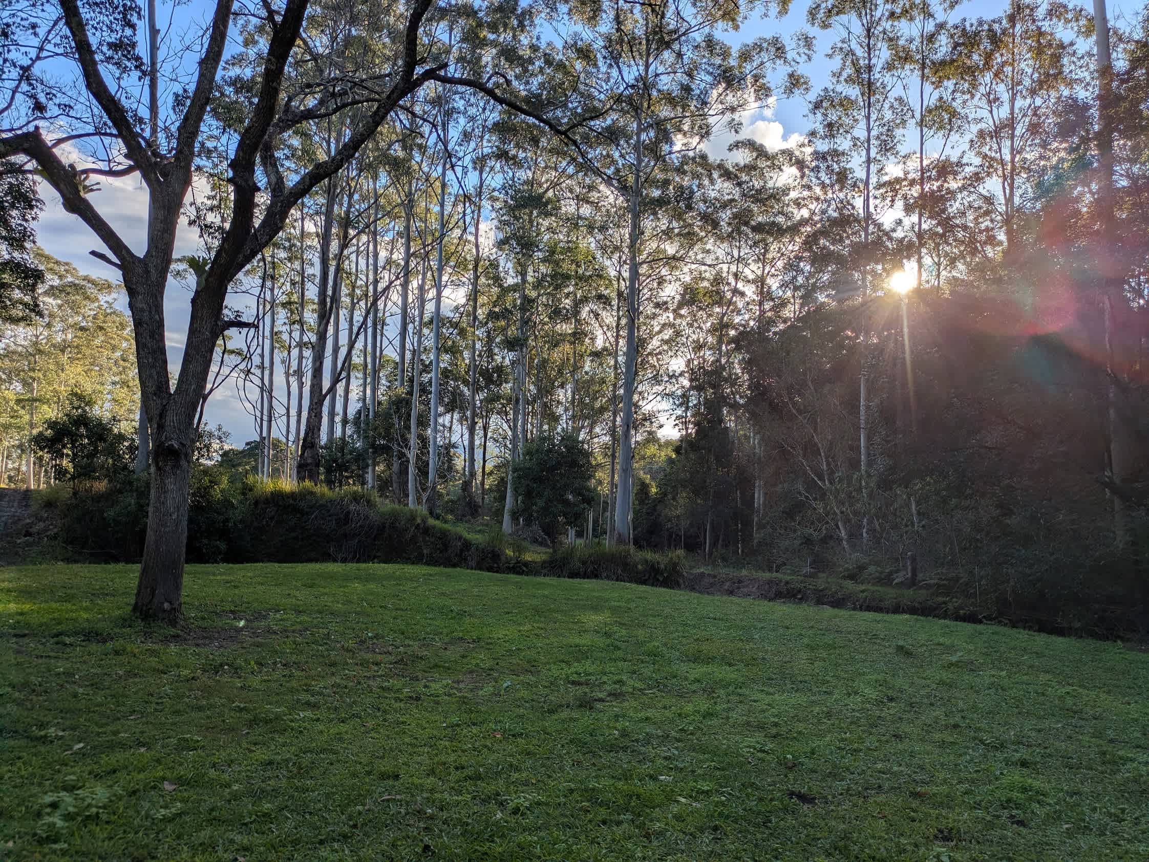 The Hills - Stony Creek Camp