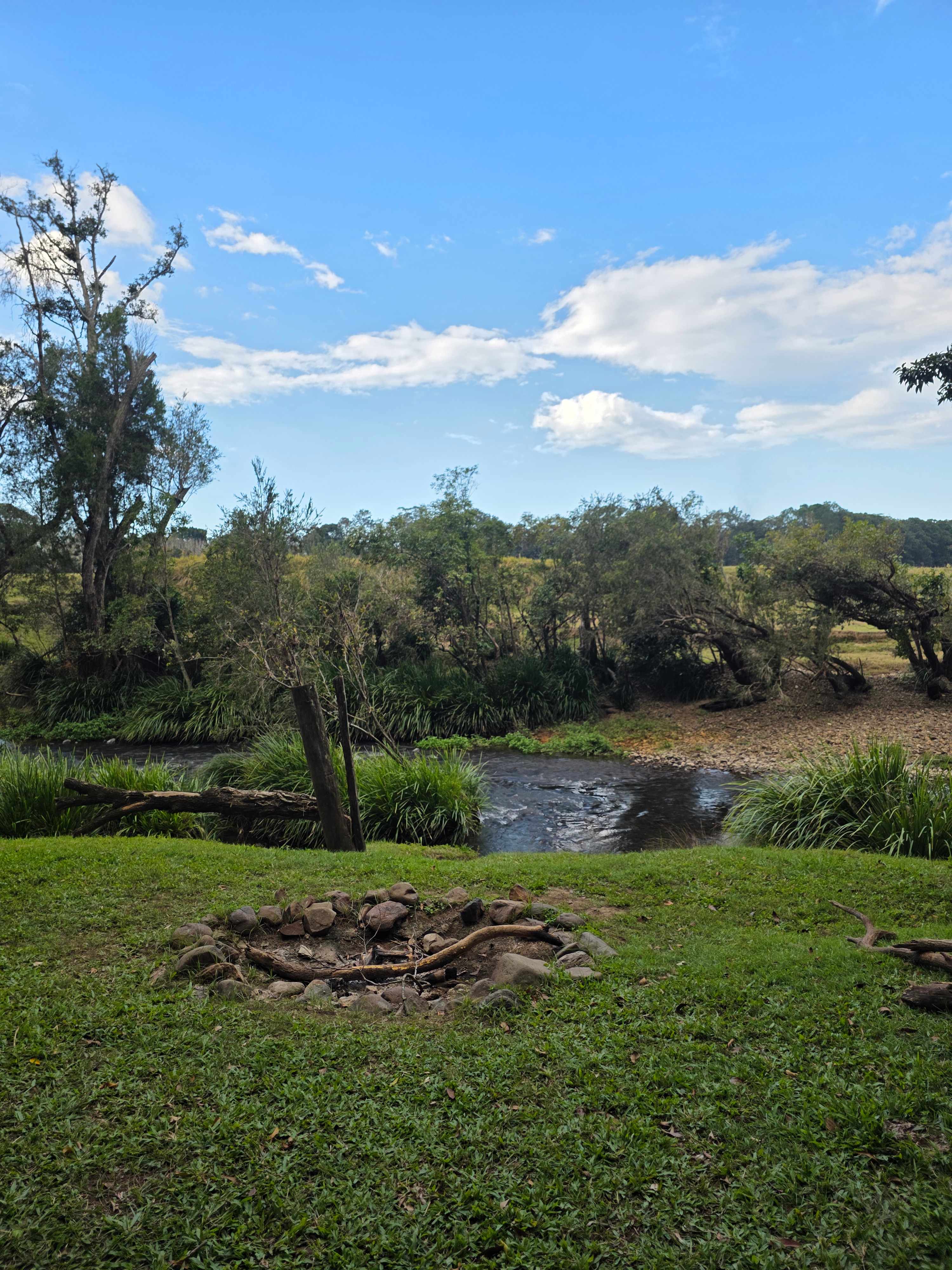 Koala Creek Camping