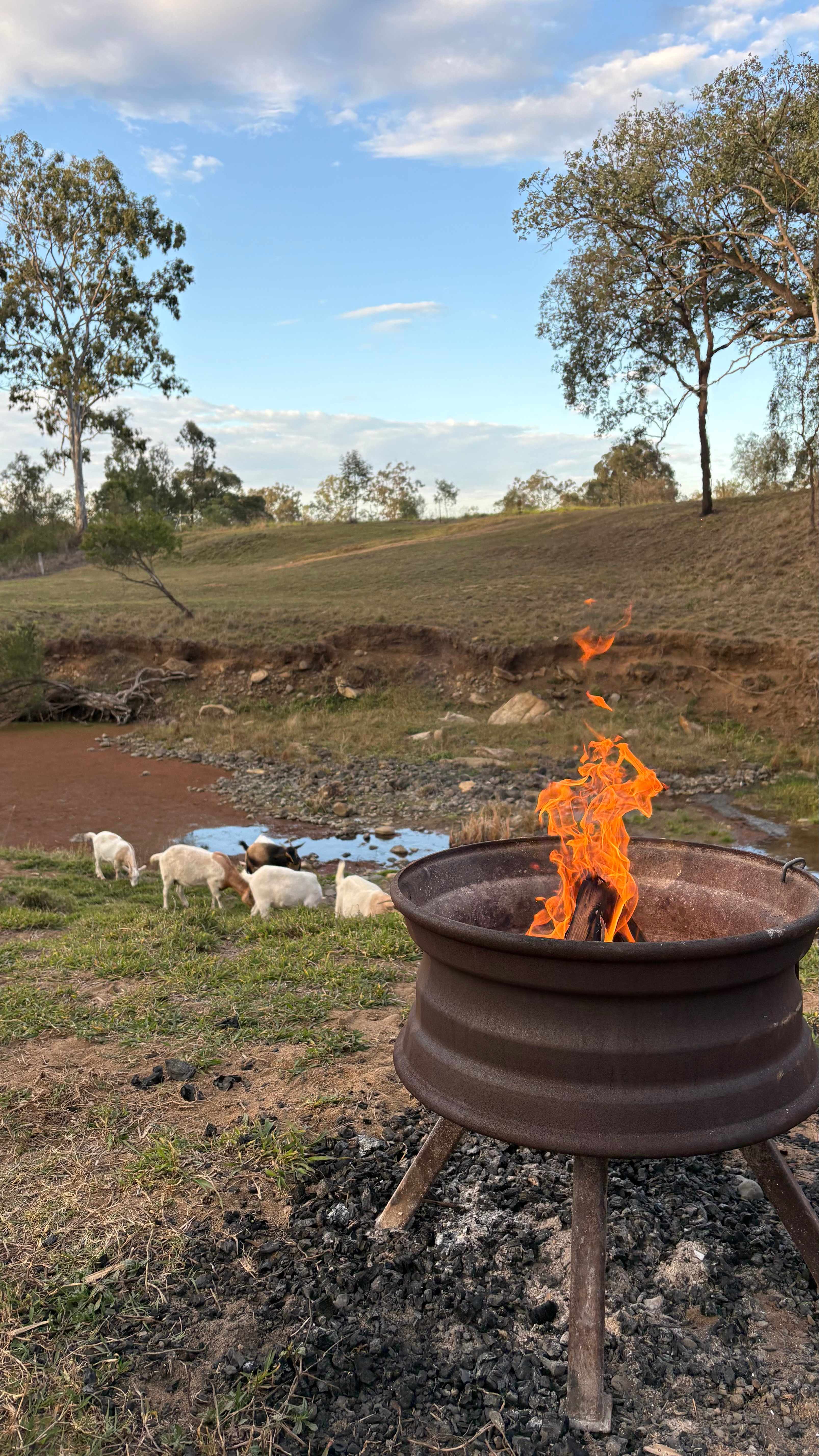 Rocky Creek Homestead