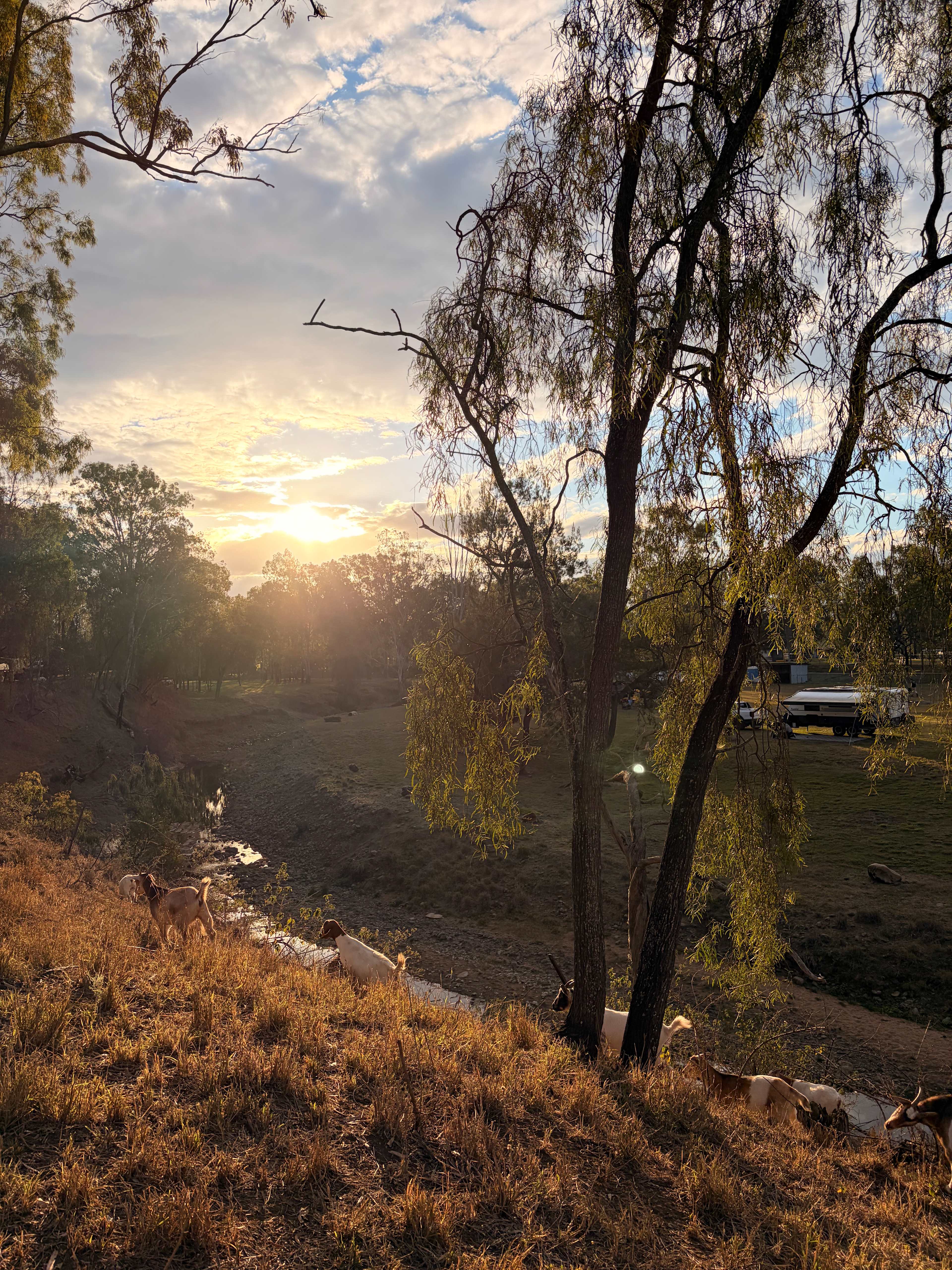 Rocky Creek Homestead