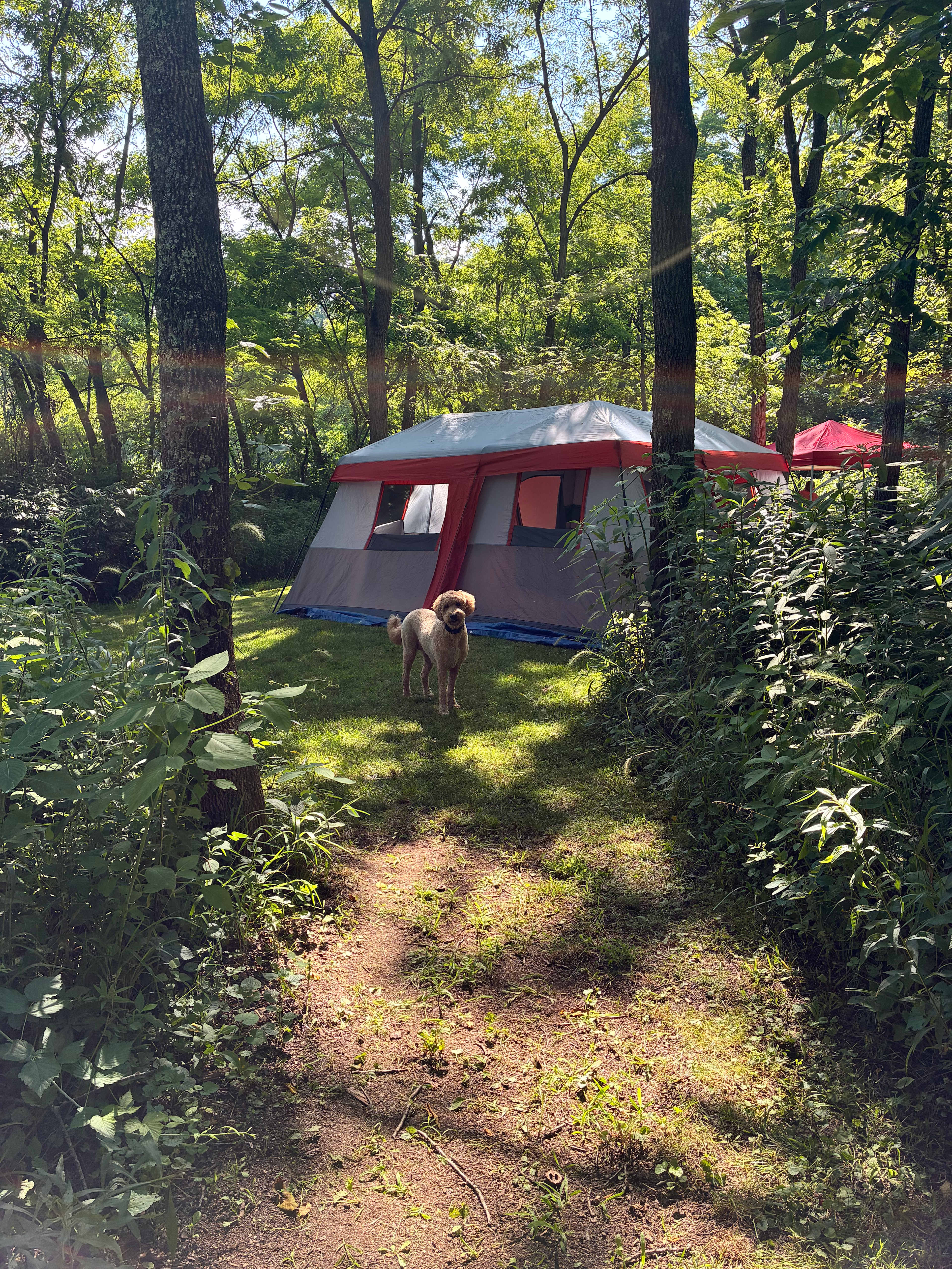 Pleasant Valley Farm Camp