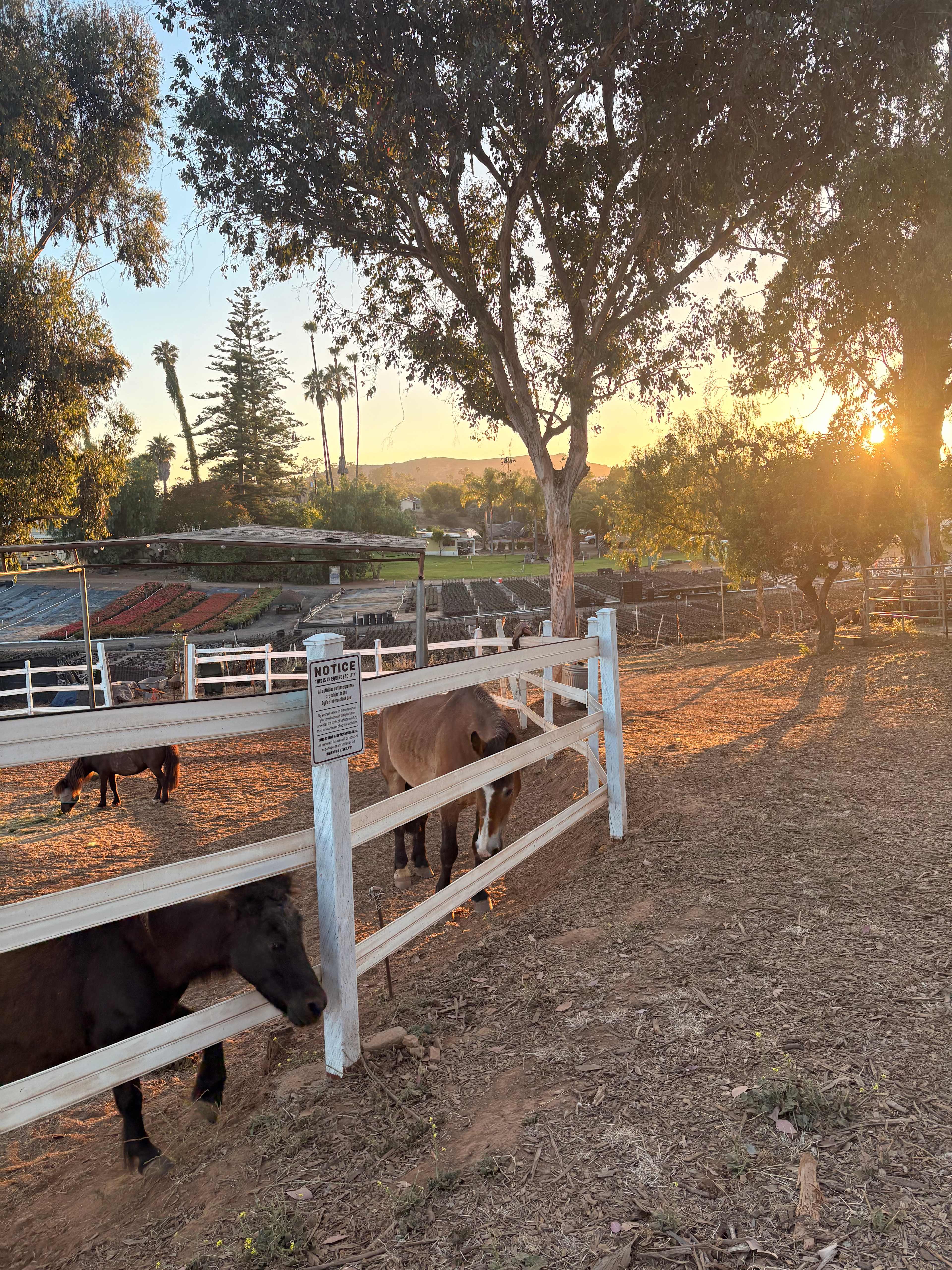 Wilson Hill Retreat
