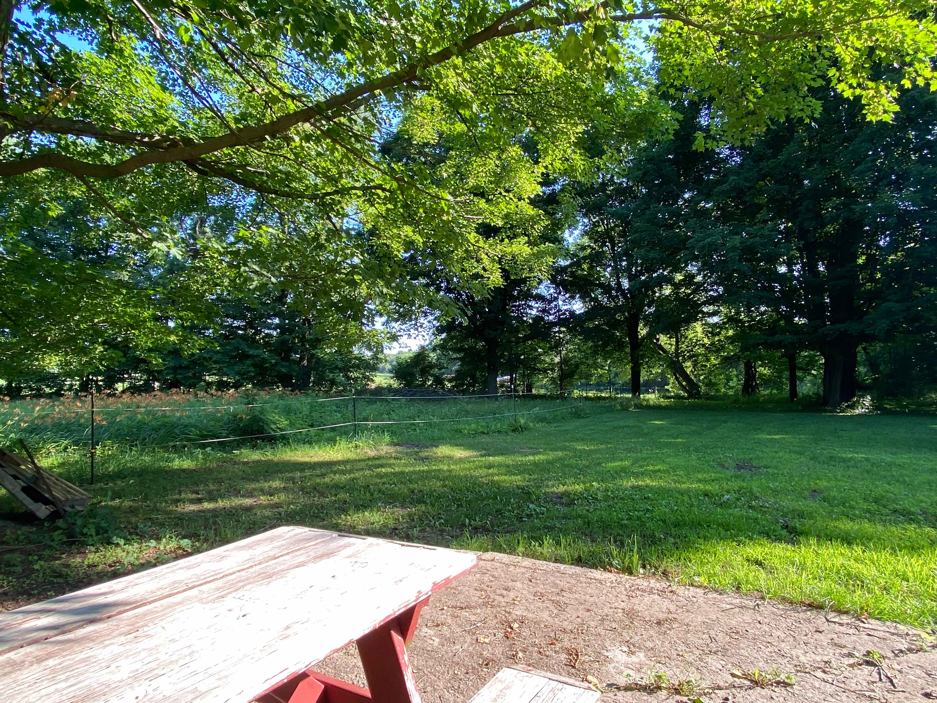 View from the concrete pad