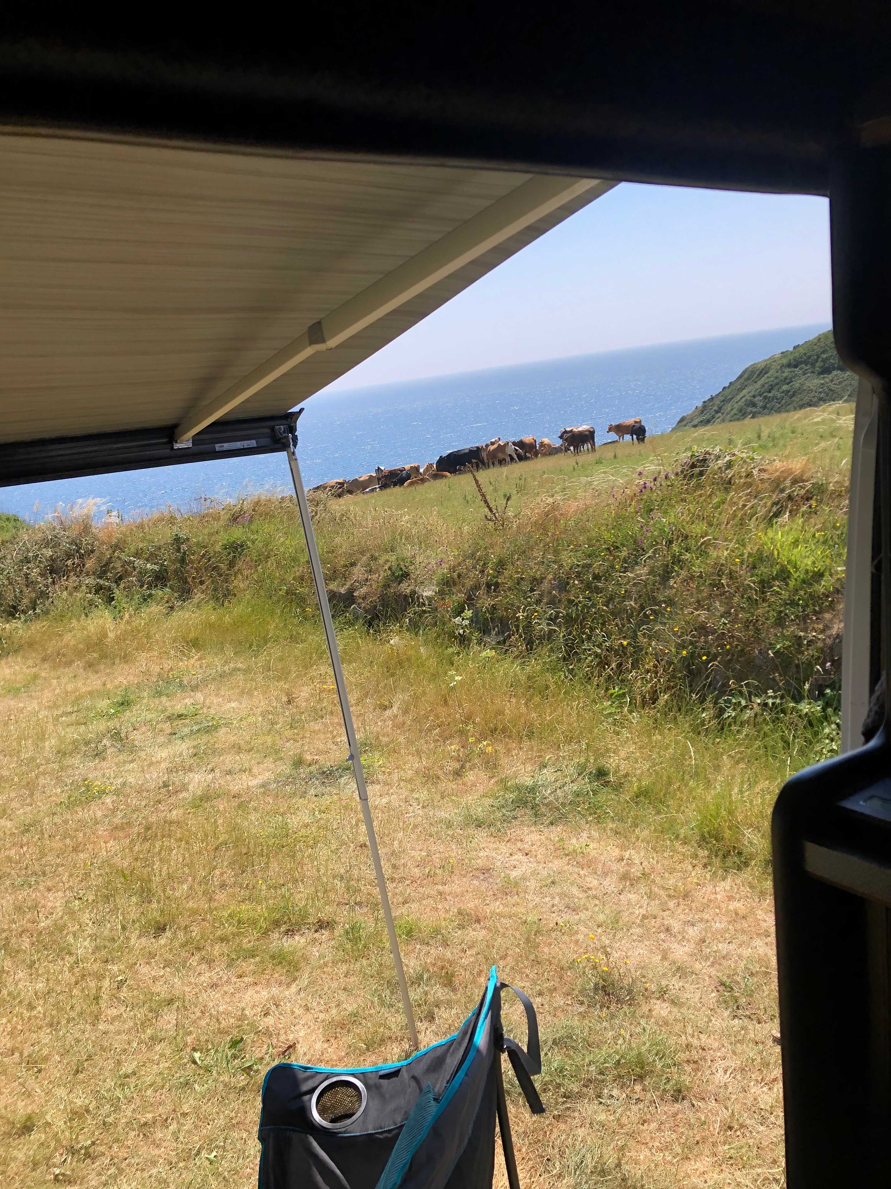 Cadgwith Wild Camping
